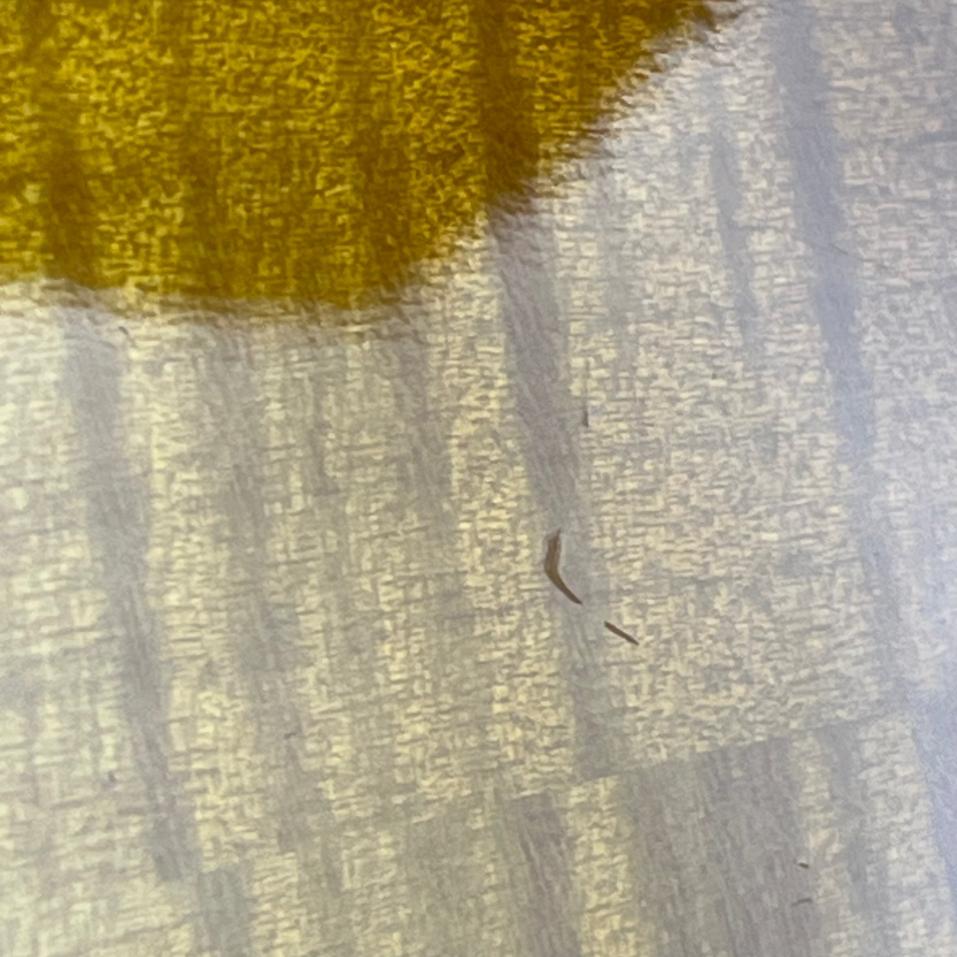 Epiphone Les Paul Standard