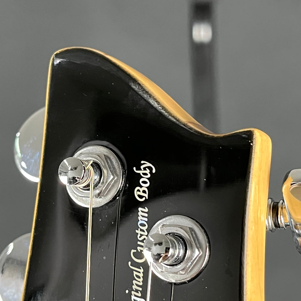 Aria Pro II PE-480