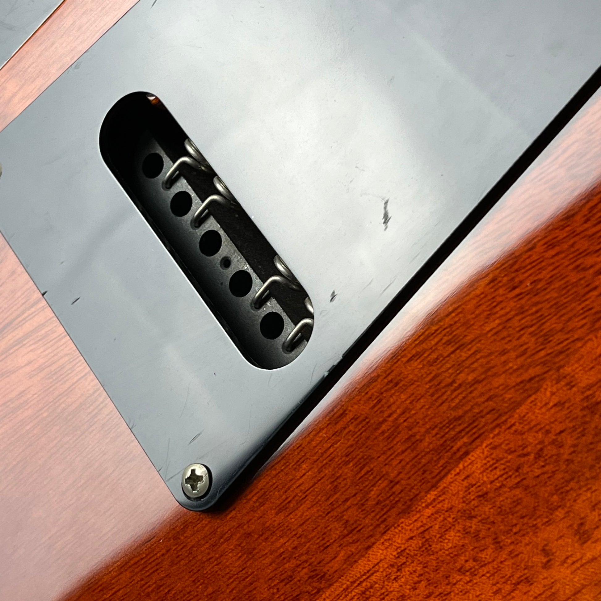 PRS SE Custom 24 2018 Spalted Maple