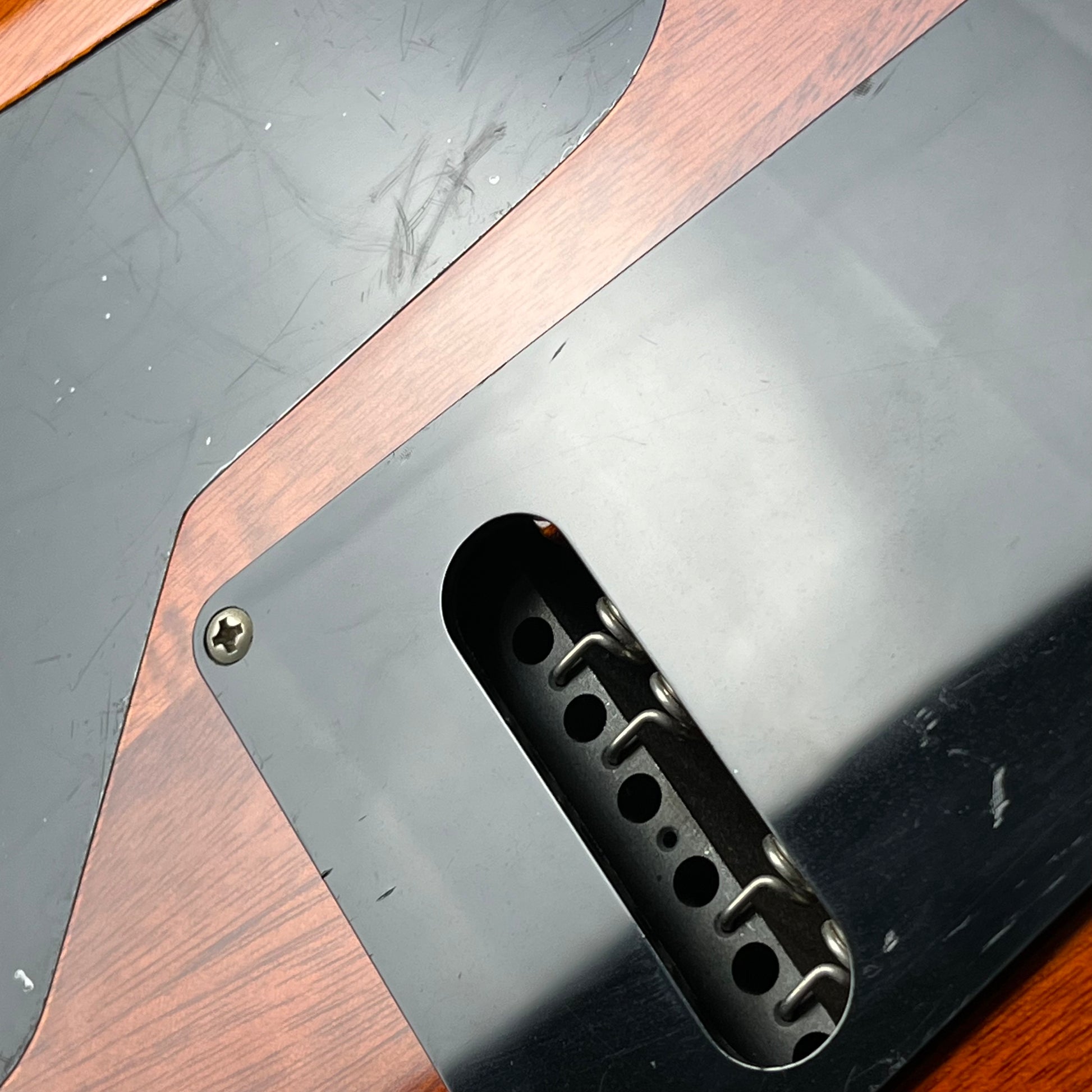 PRS SE Custom 24 2018 Spalted Maple