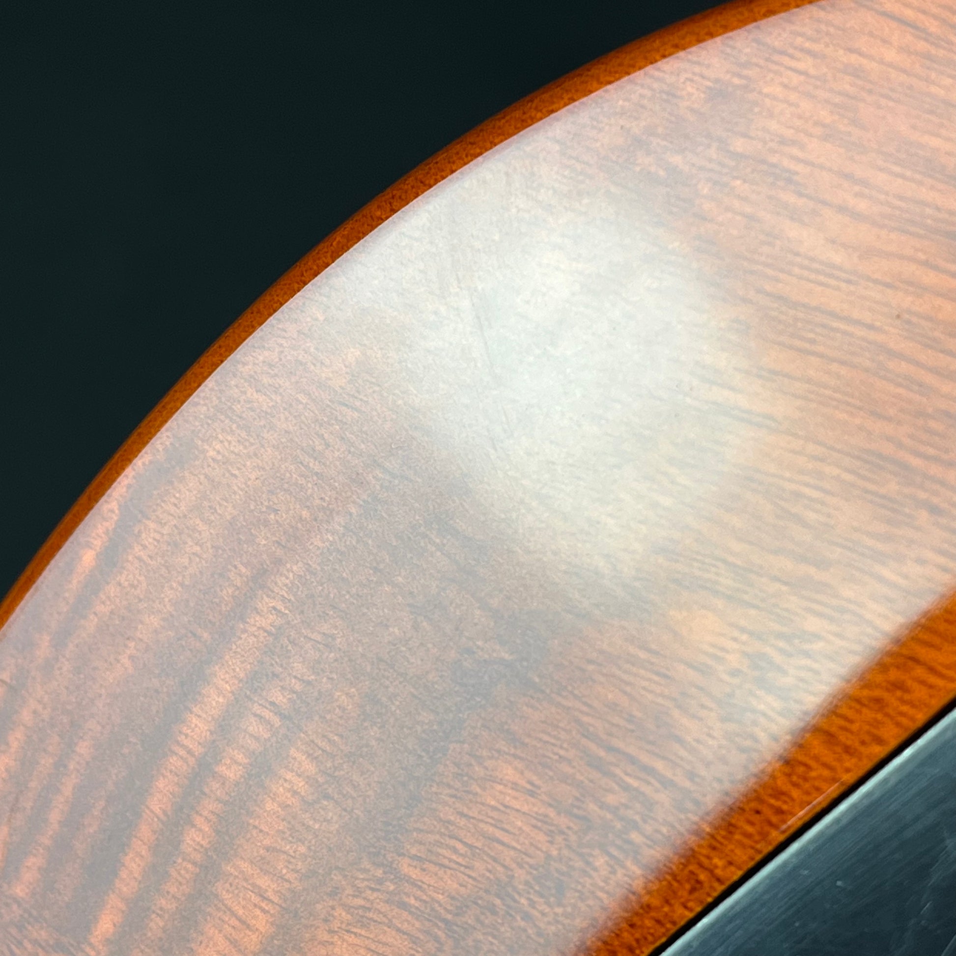 PRS SE Custom 24 2018 Spalted Maple