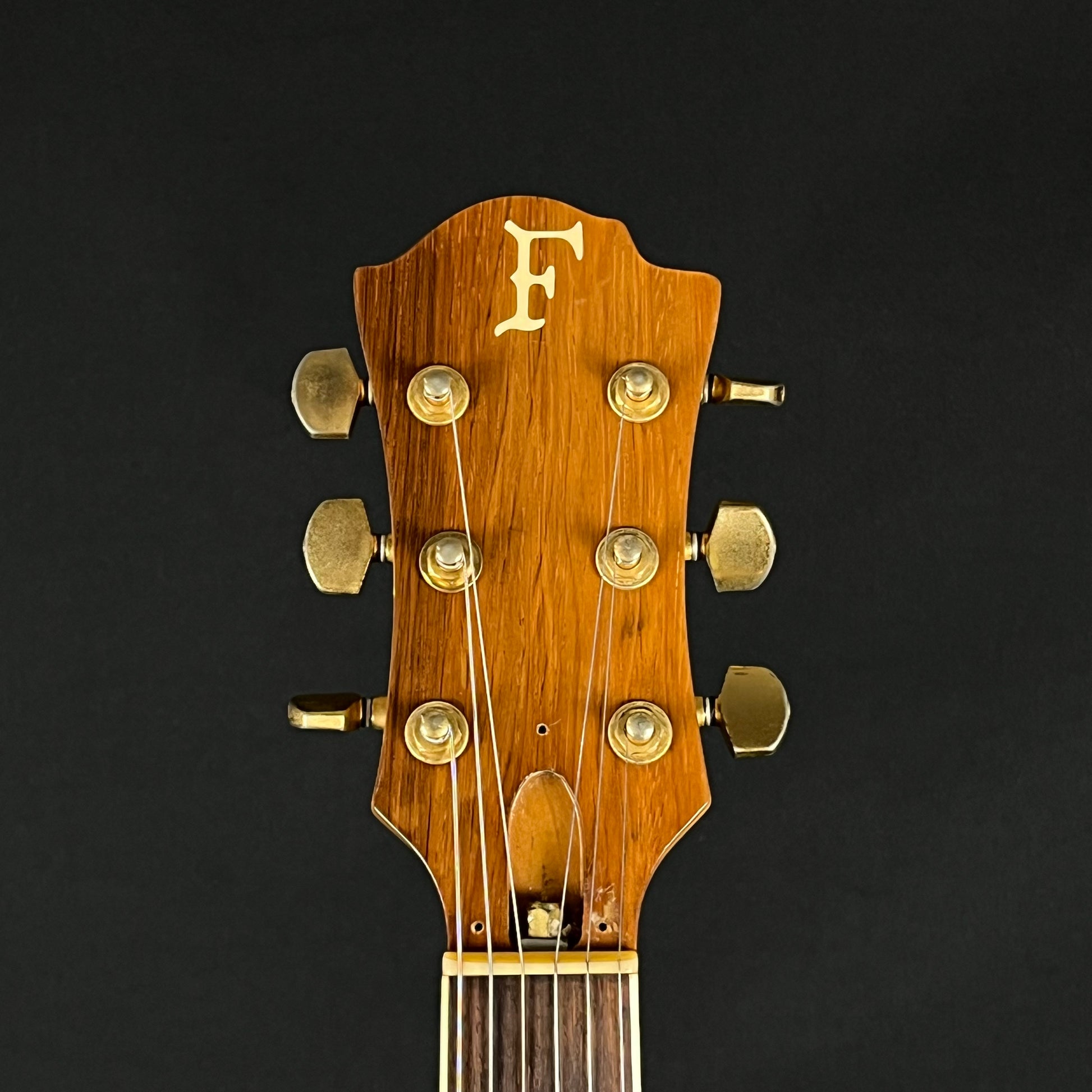 FERNANDES MG-70X * MOD *
