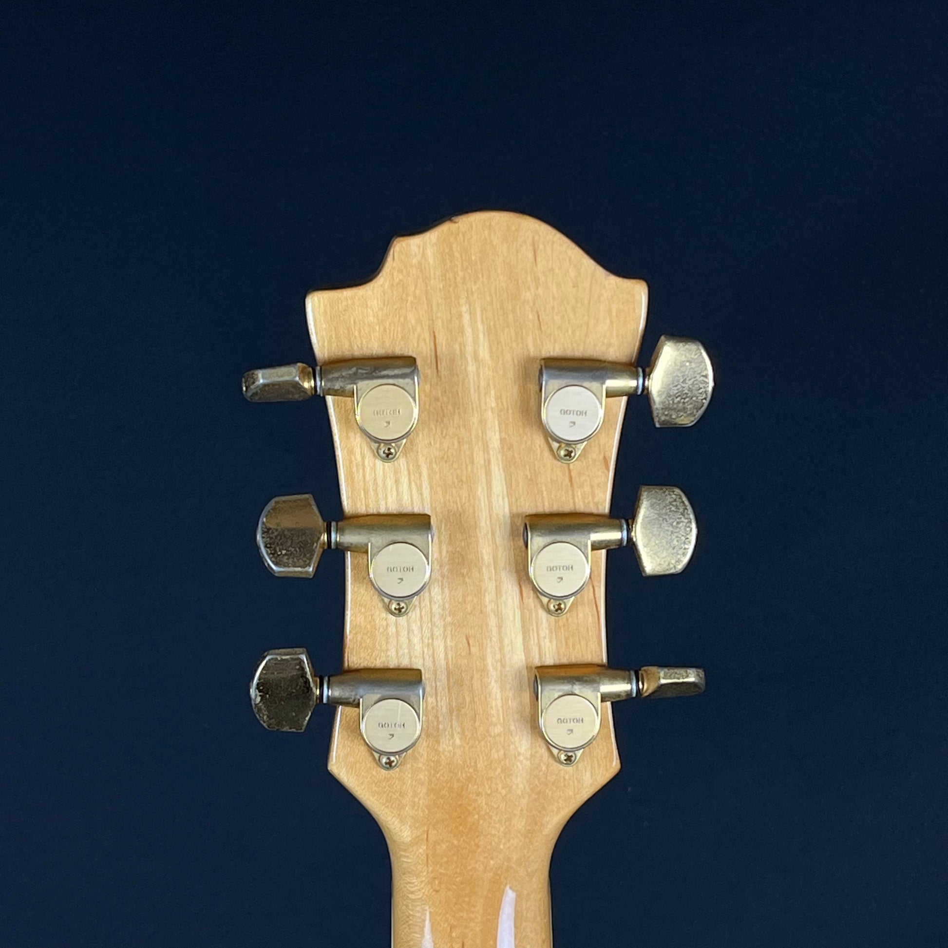 FERNANDES MG-70X * MOD *