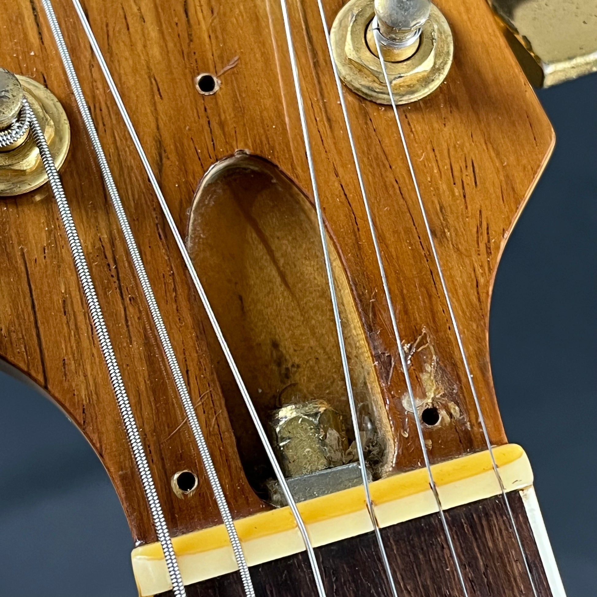 FERNANDES MG-70X * MOD *