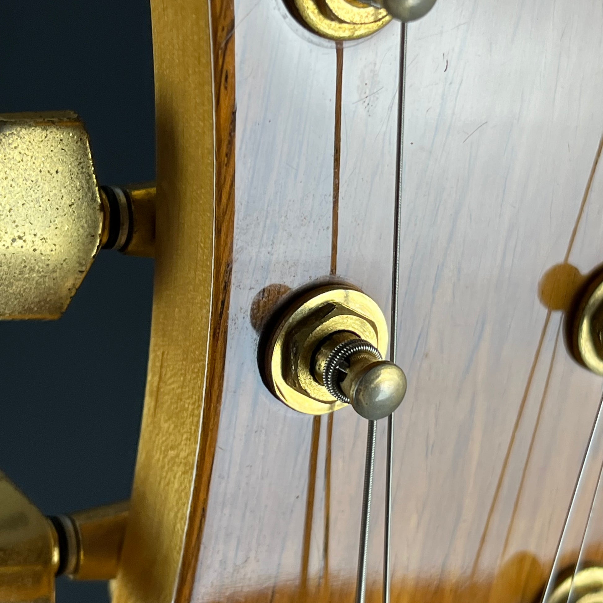 FERNANDES MG-70X * MOD *