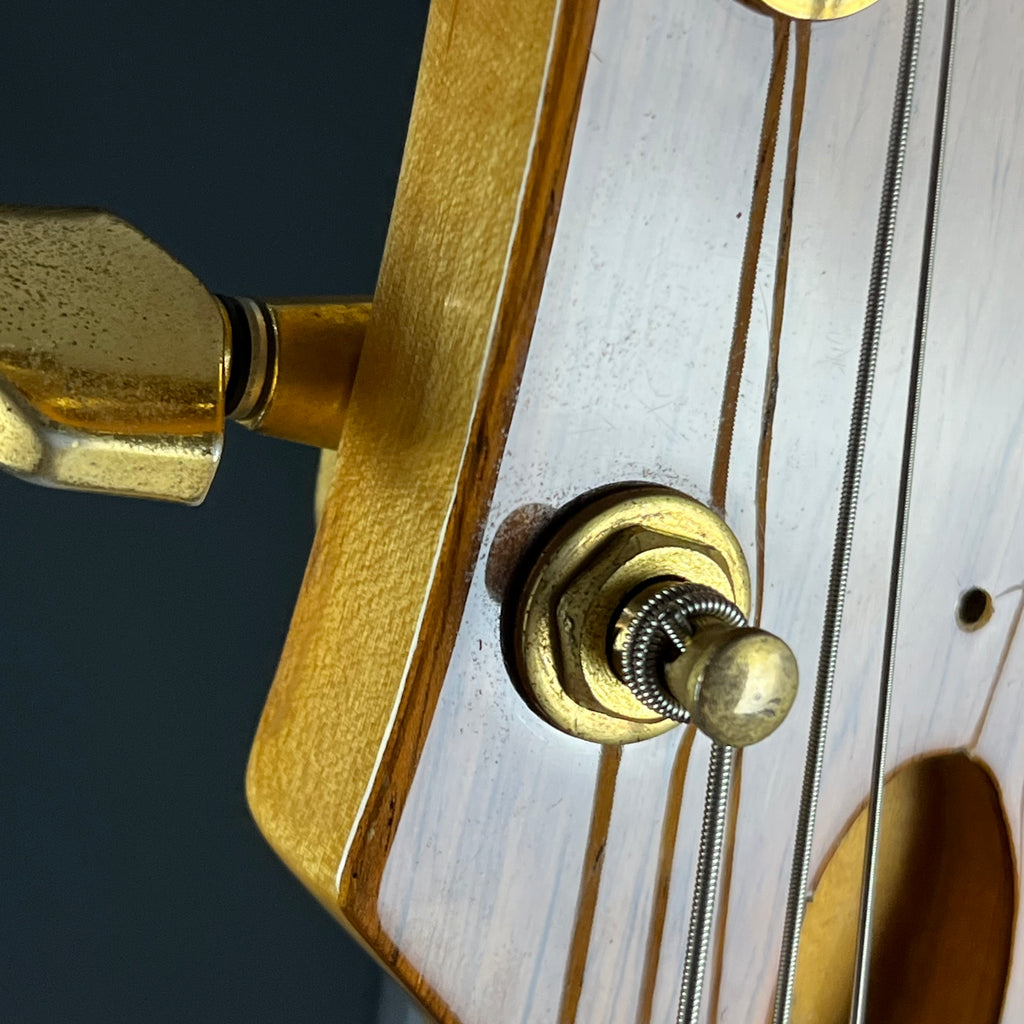 FERNANDES MG-70X * MOD *