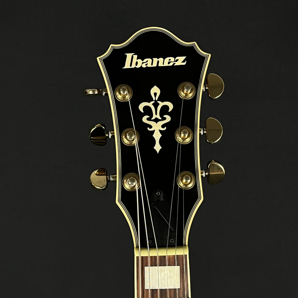 Ibanez AFJ85-VSB