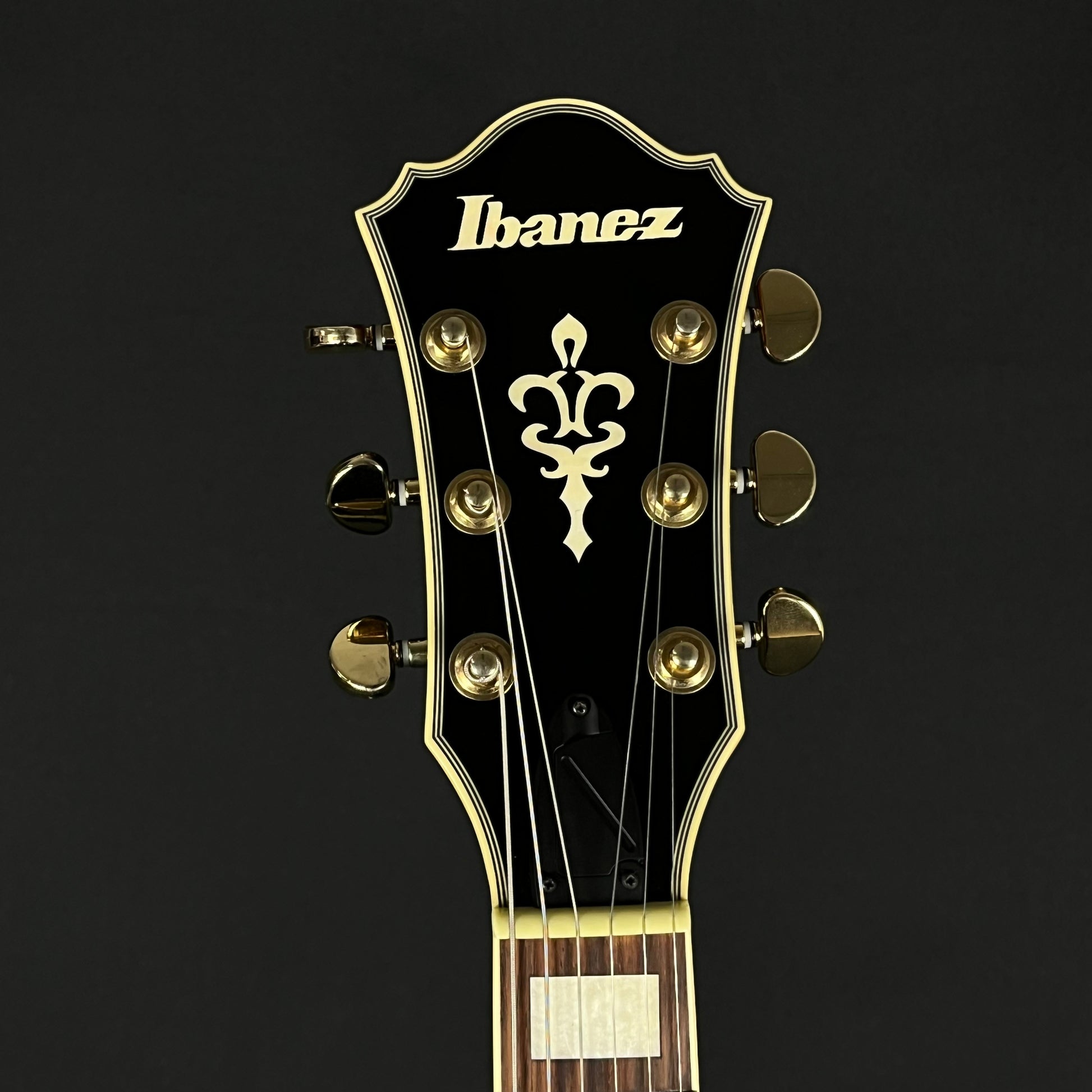 Ibanez AFJ85-VSB