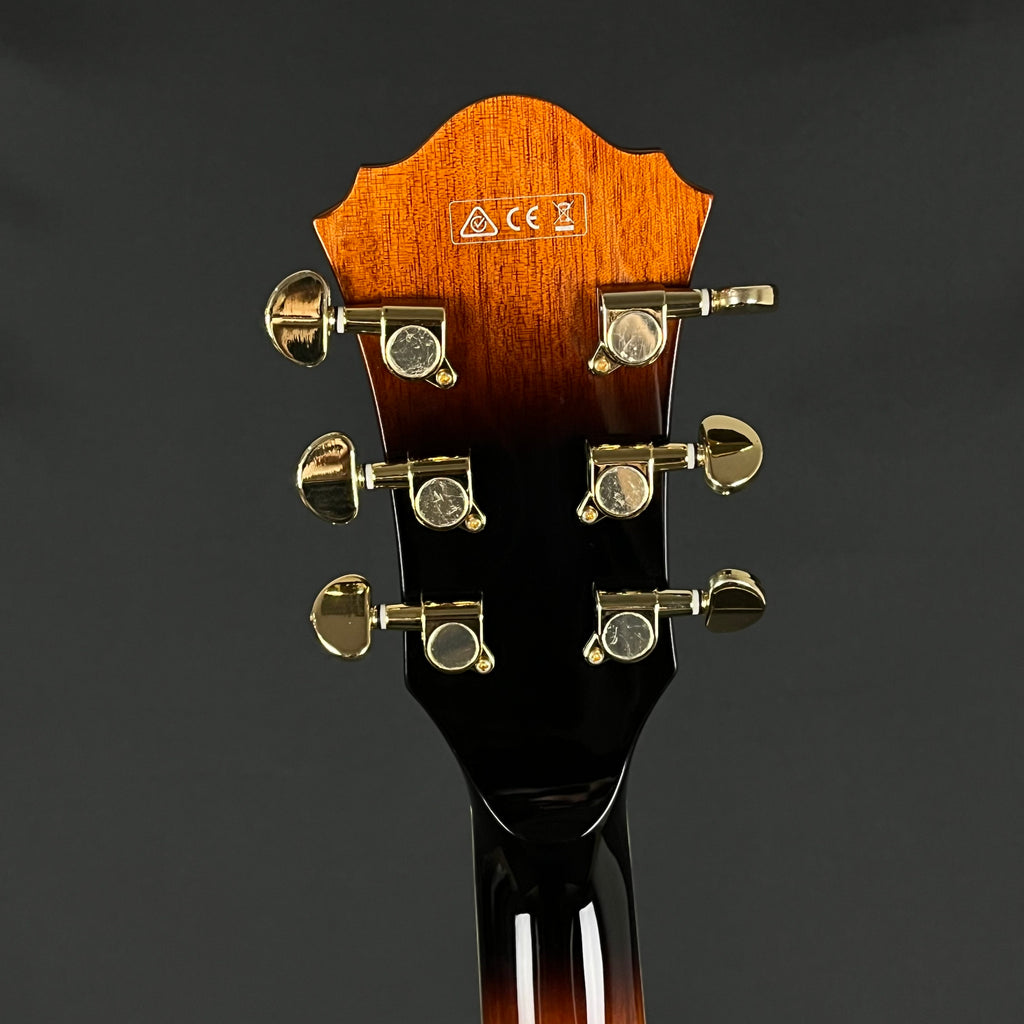 Ibanez AFJ85-VSB