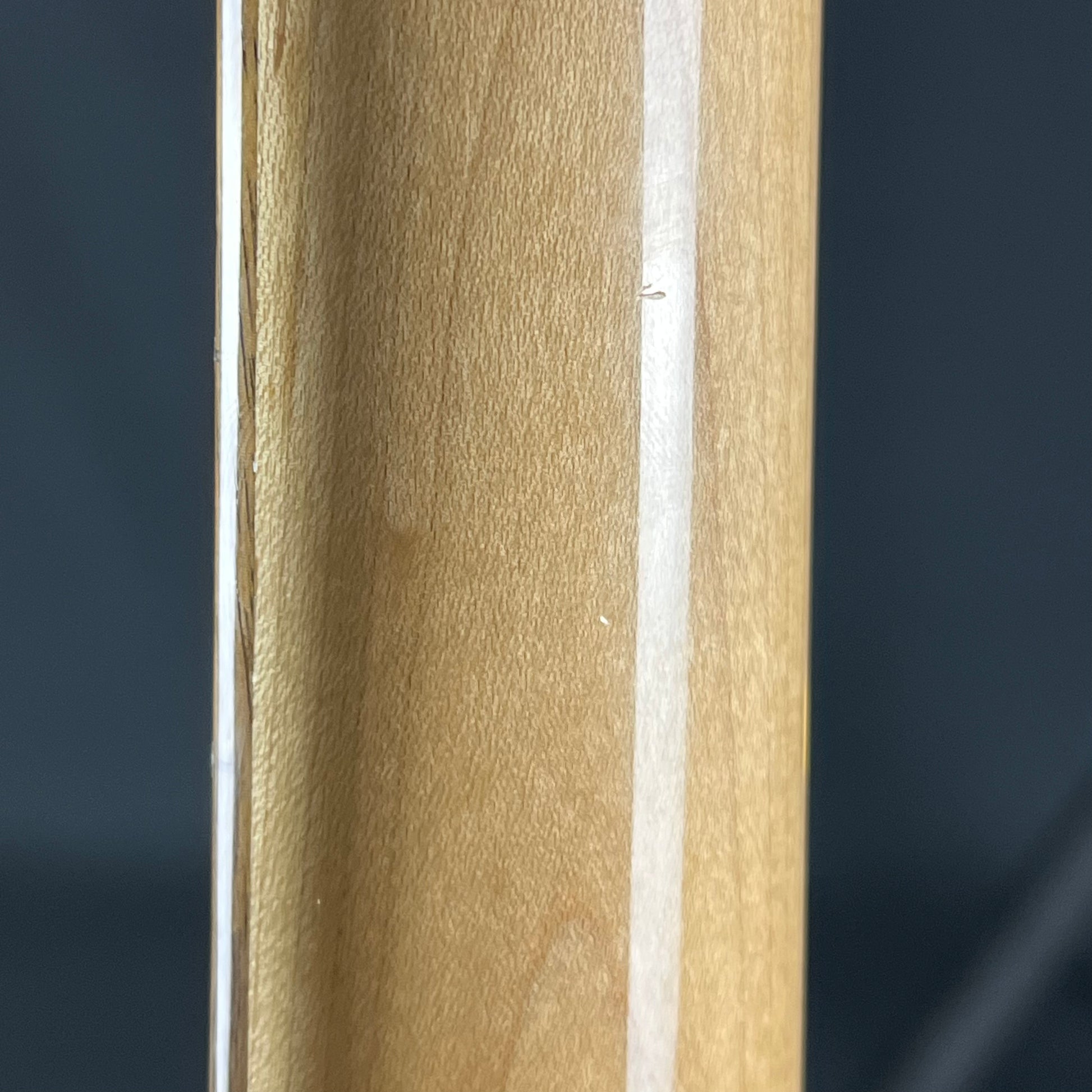 Fernandes Stratocaster