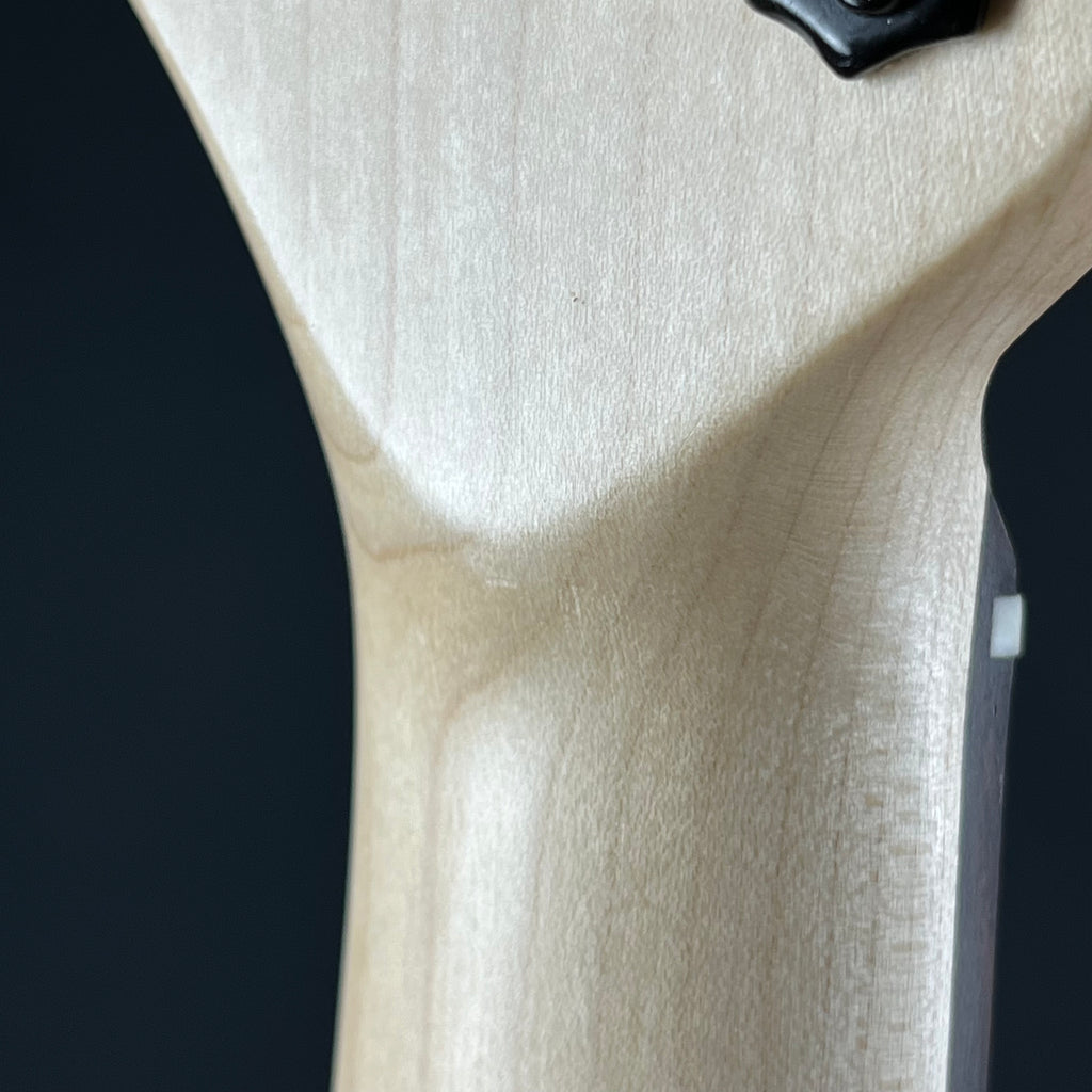 SCHECTER JOL Series Telecaster