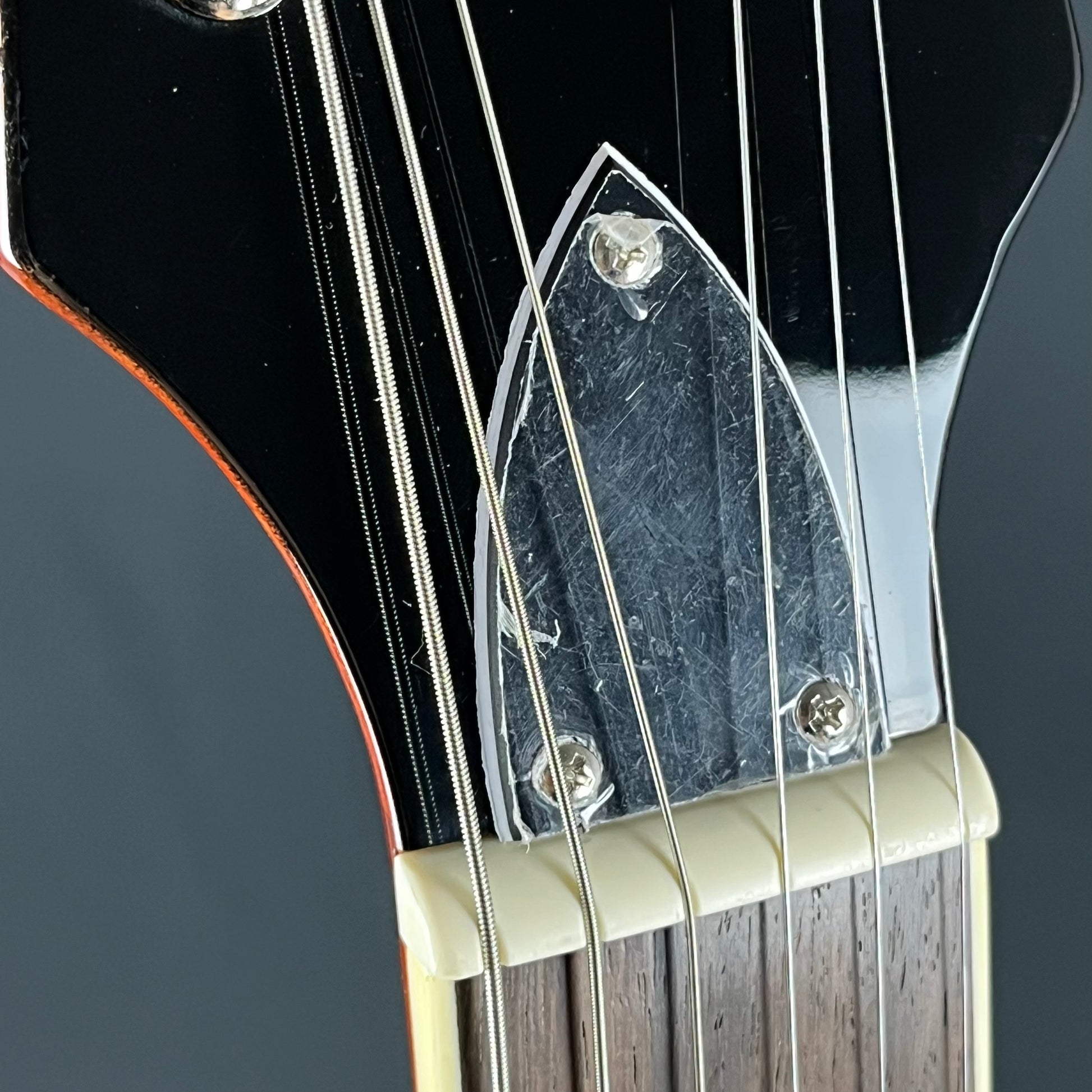 Blitz by Aria Pro II BLP-450