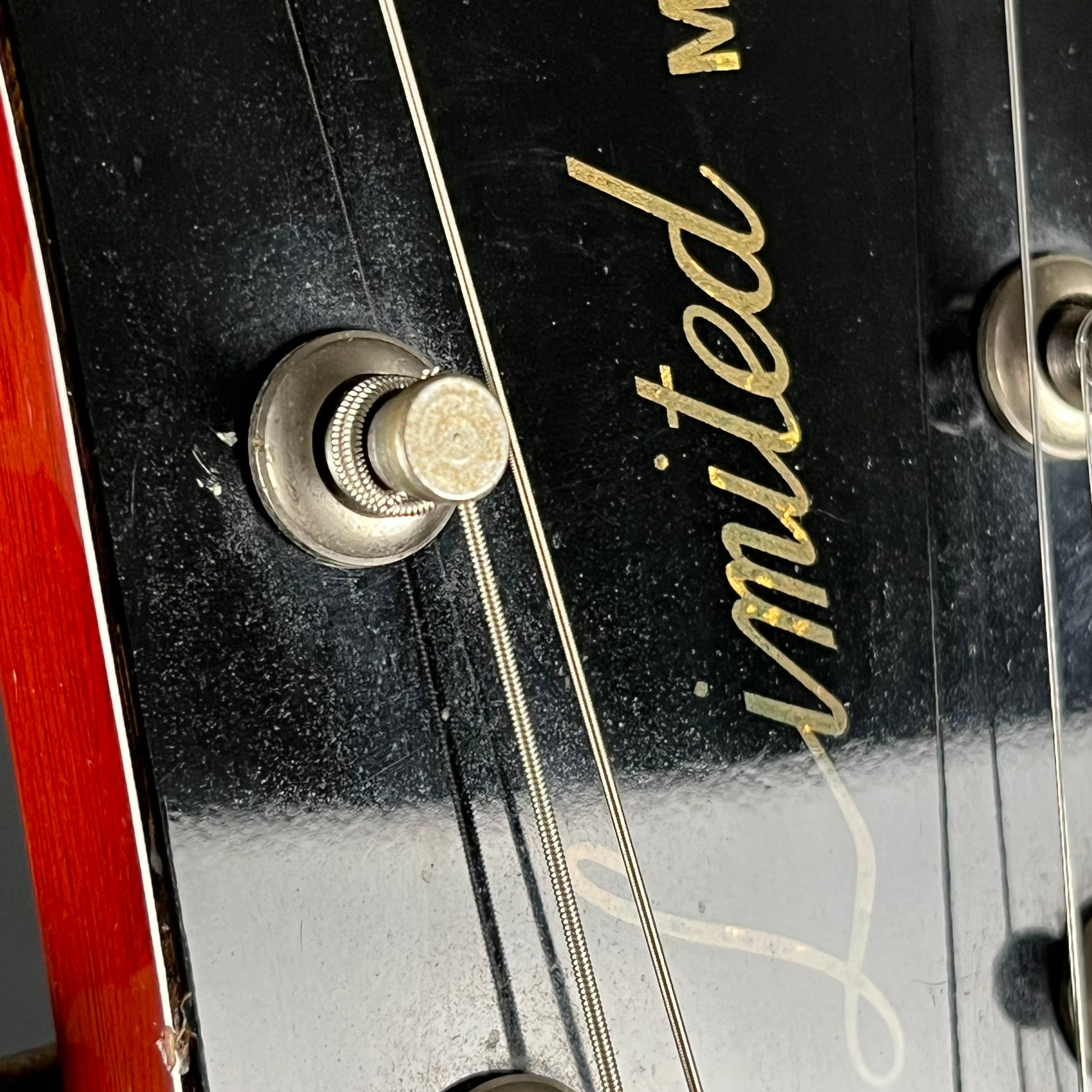 GrassRoots G-LP-60S