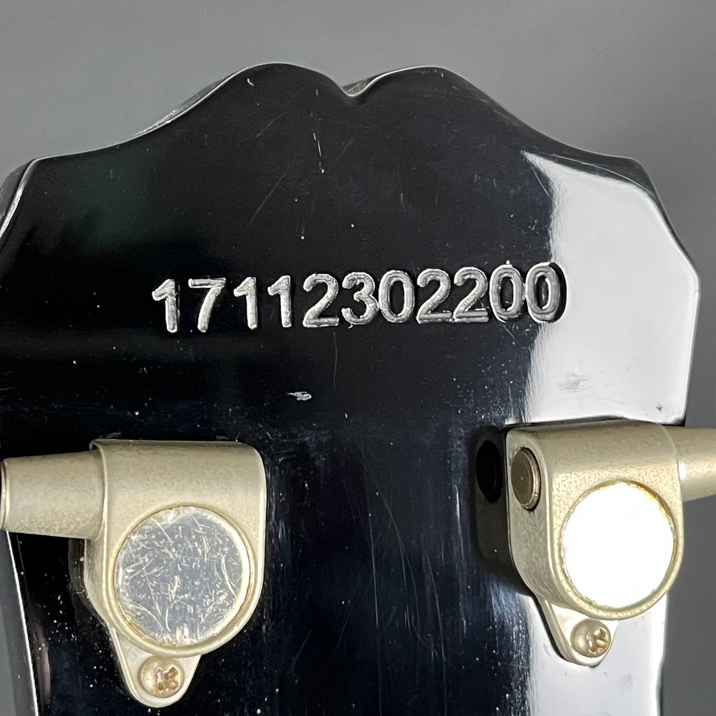 Epiphone Les Paul Special VE