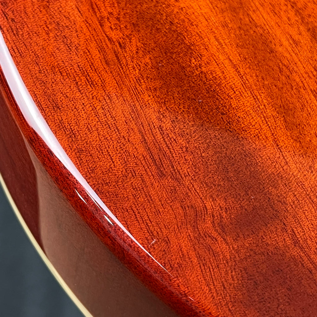 Blitz by Aria Pro II BLP-450