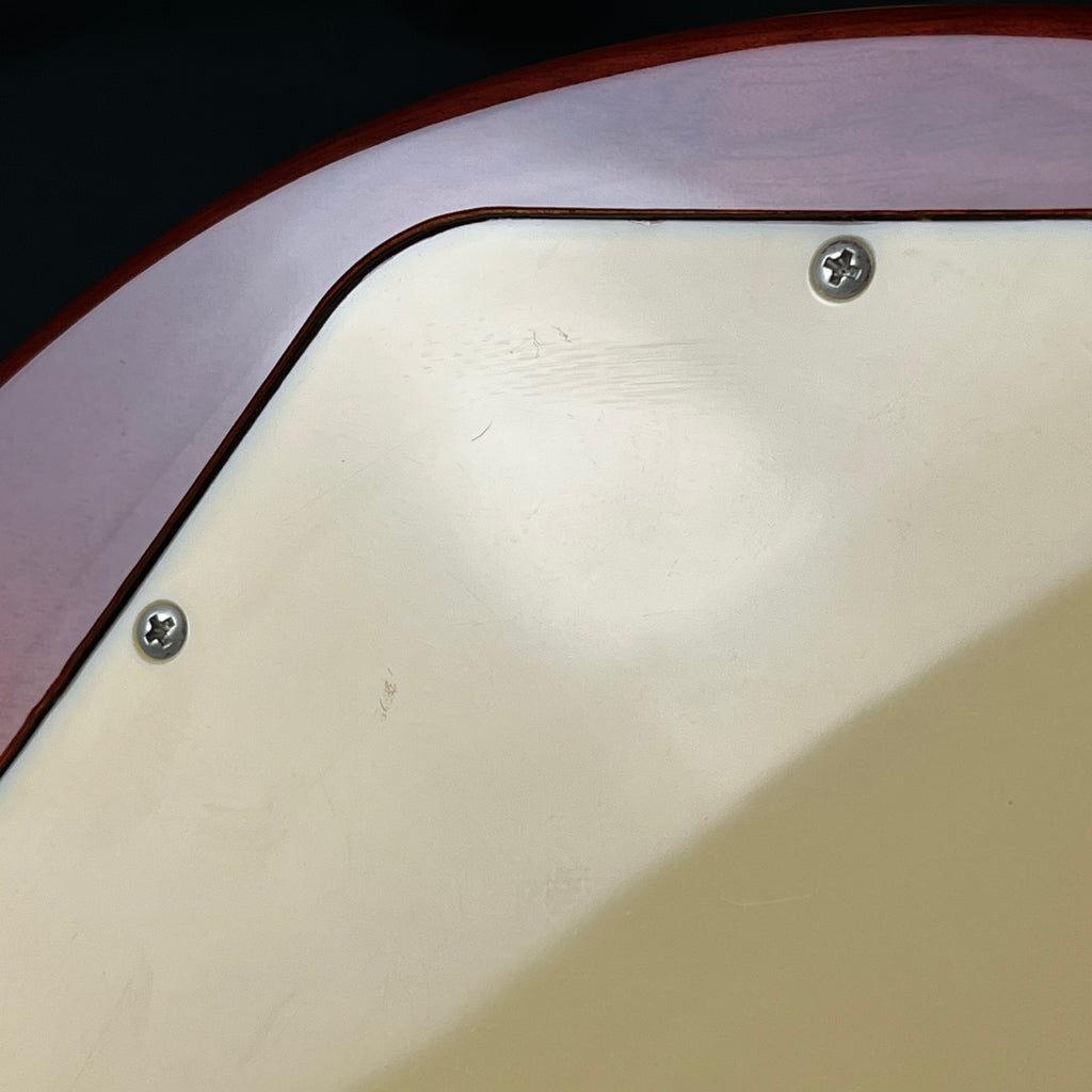 Blitz by Aria Pro II BLP-450