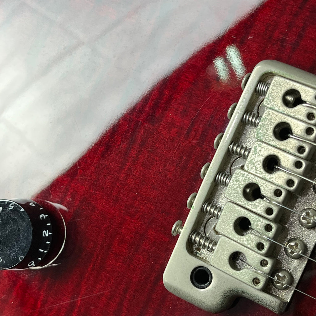 PRS SE Custom 24 2012 *MOD*