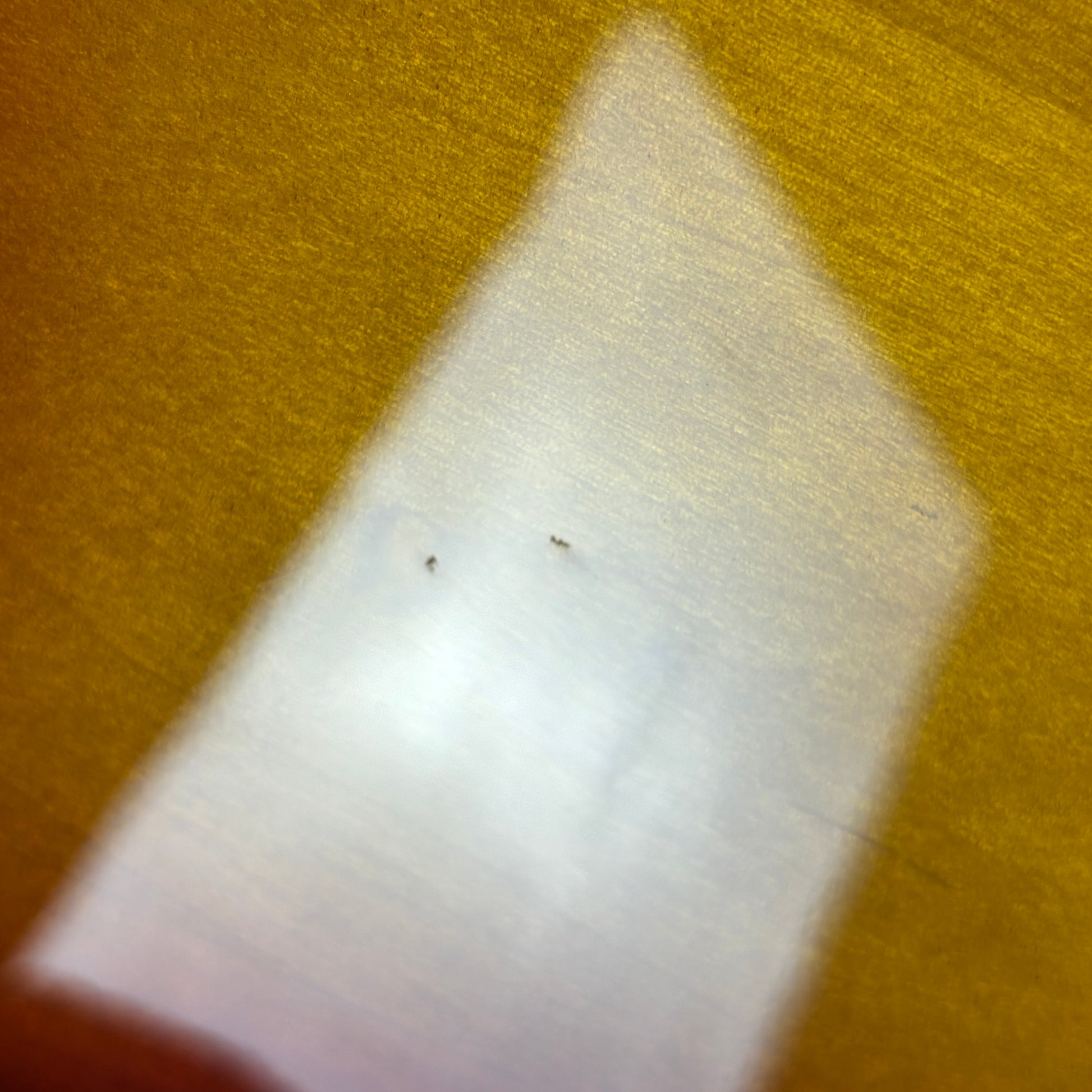 Fender Japan JB62 Jazz Bass 2015