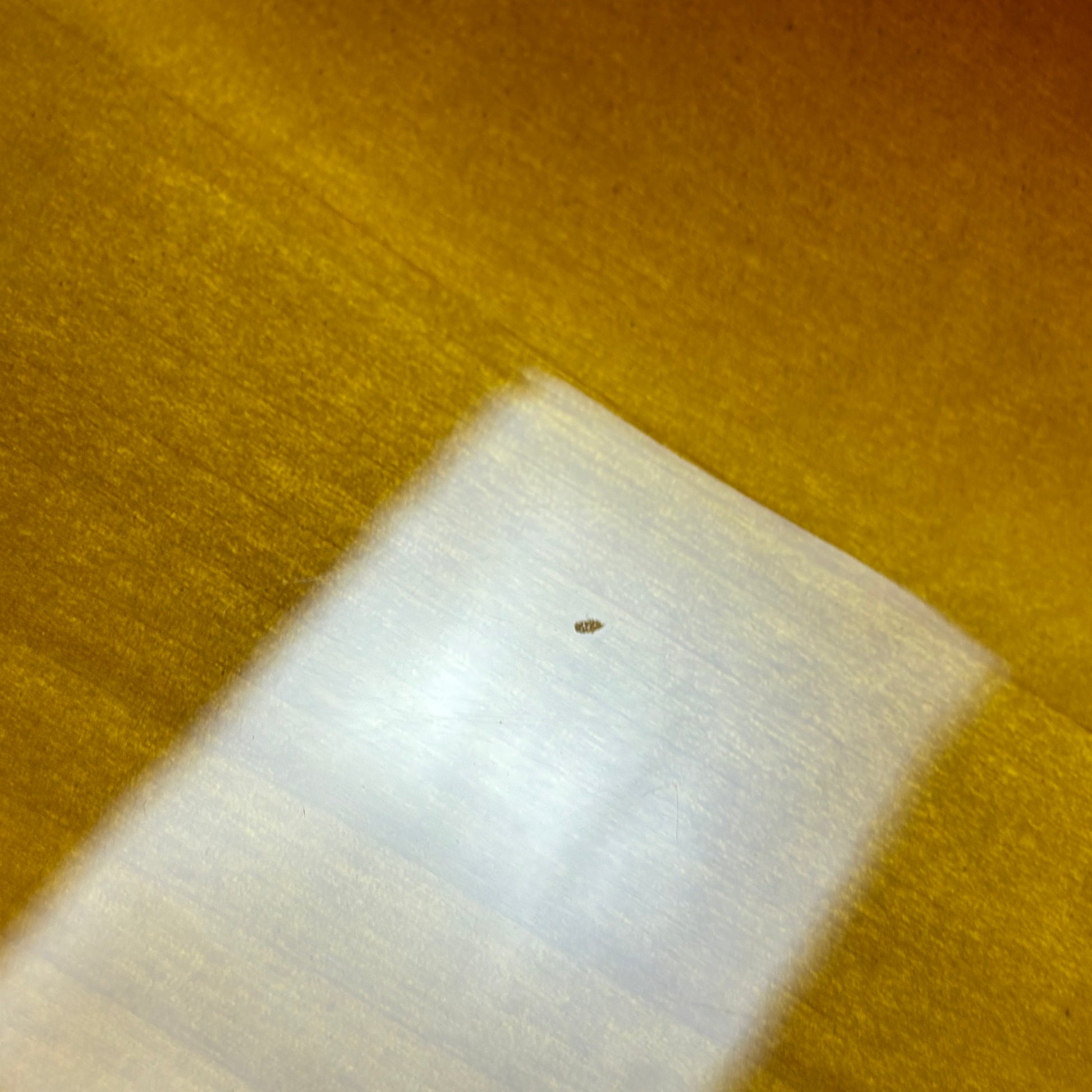 Fender Japan JB62 Jazz Bass 2015