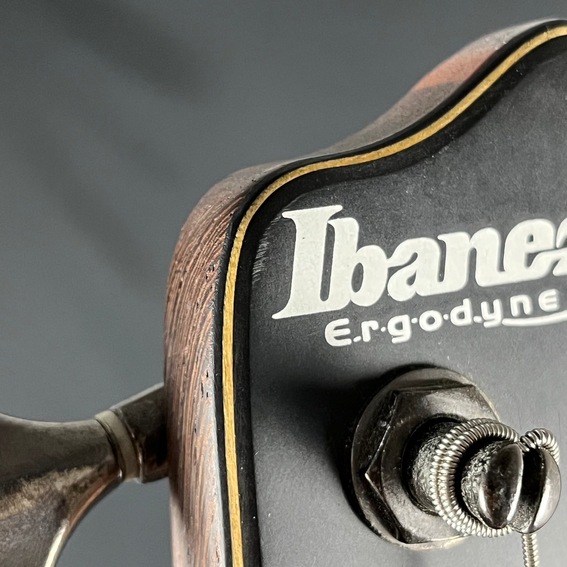 Ibanez EDB555 WNF Bass