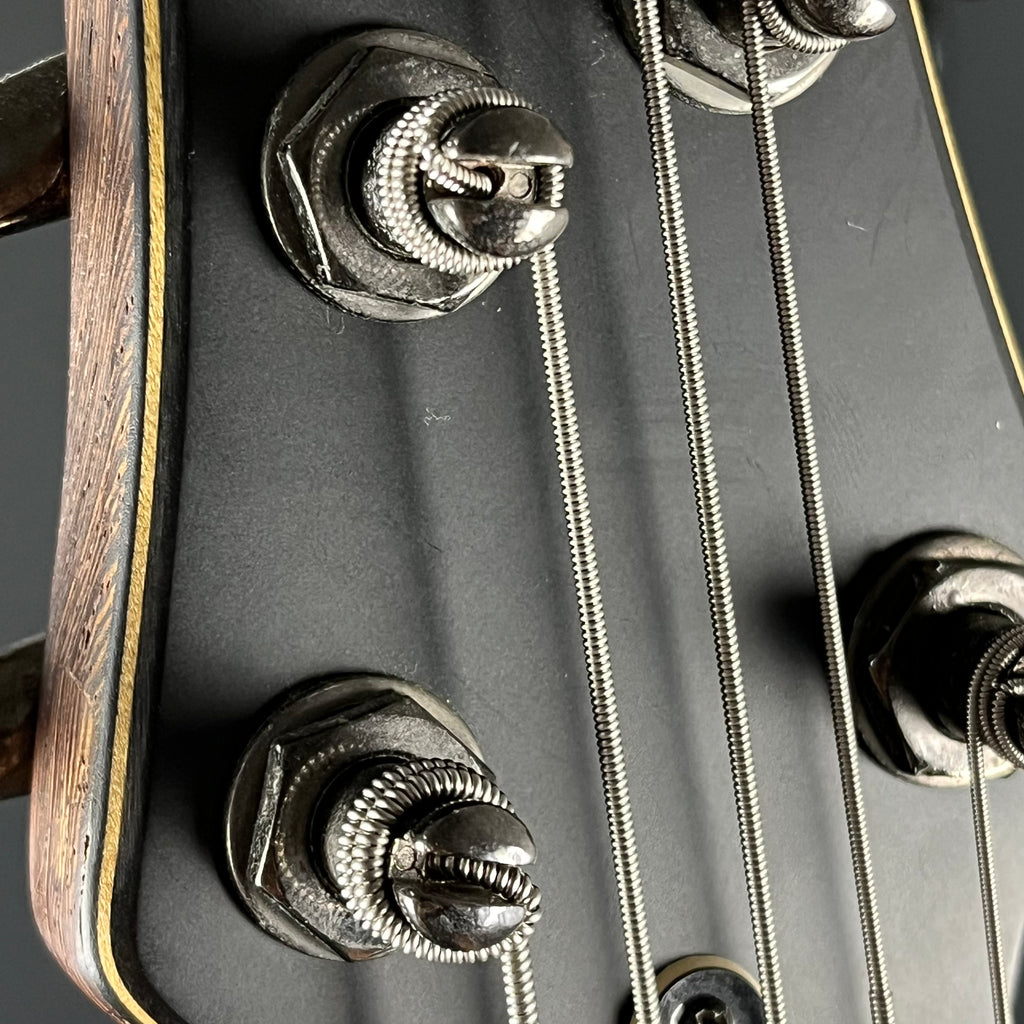 Ibanez EDB555 WNF Bass