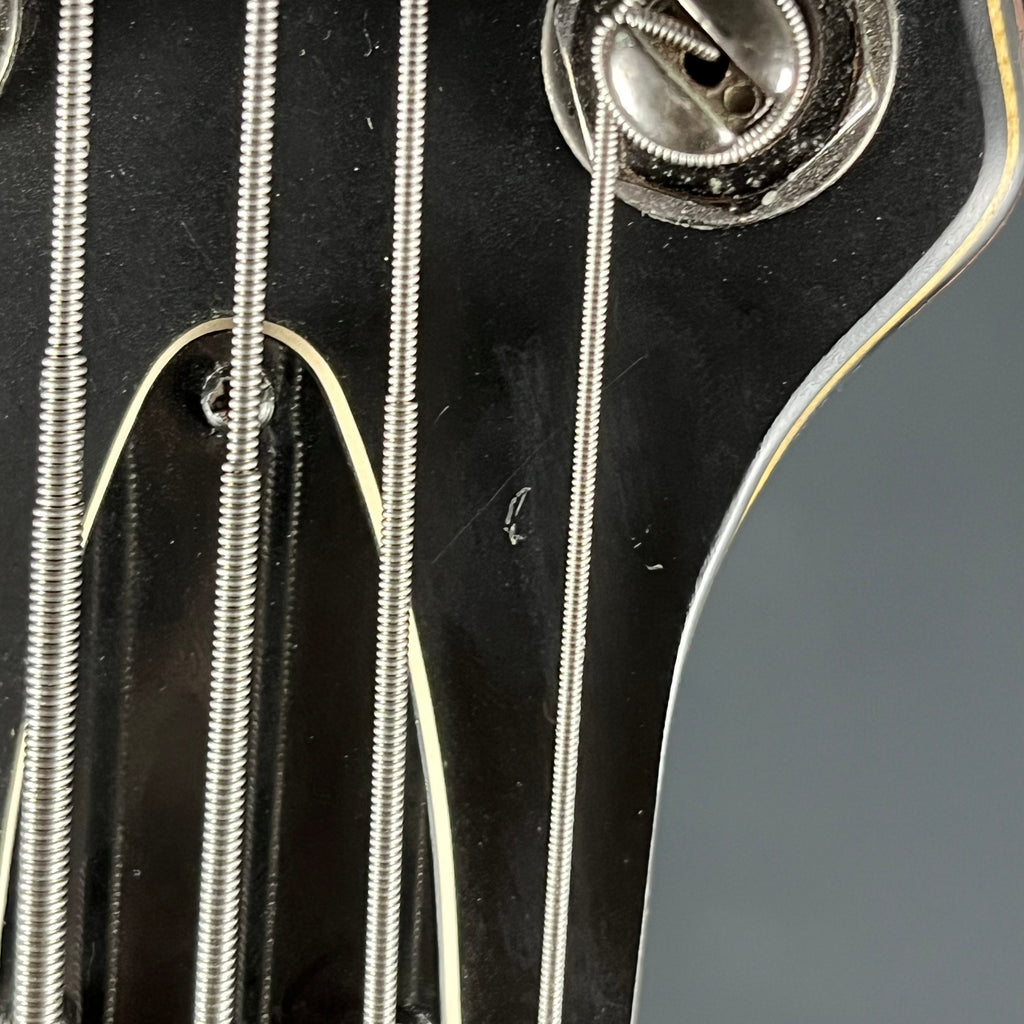 Ibanez EDB555 WNF Bass