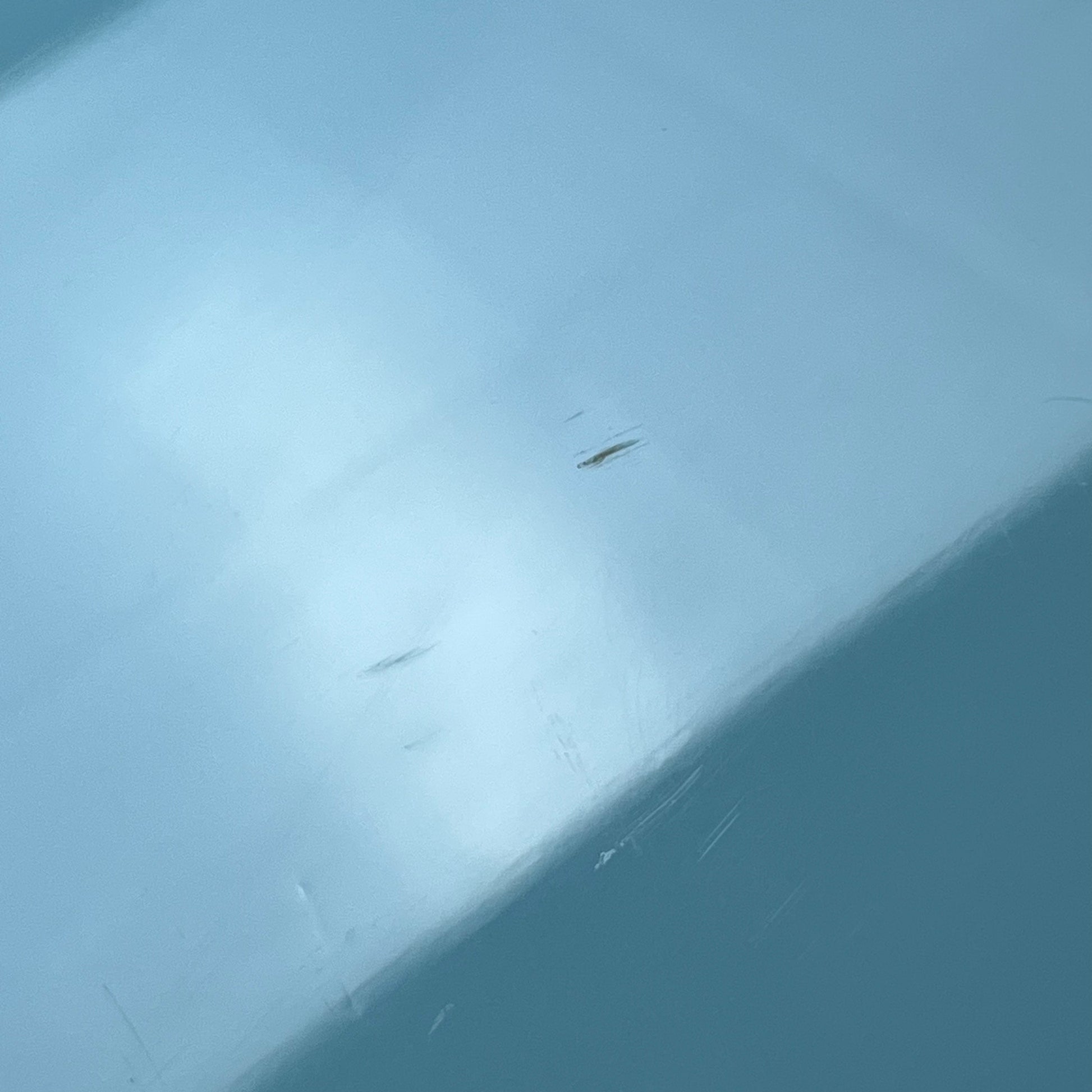 GrassRoots G-EAST BLUE GEN