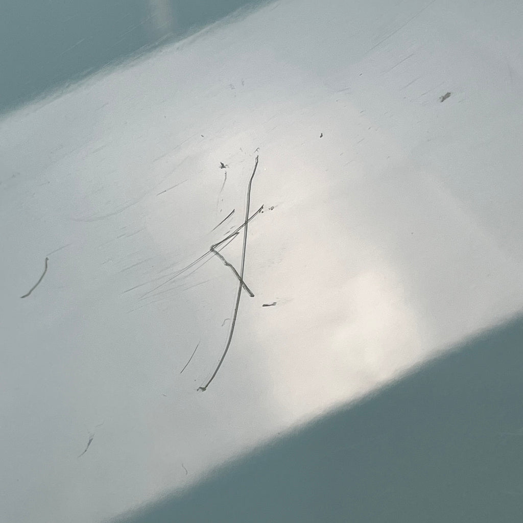 GrassRoots G-EAST BLUE GEN