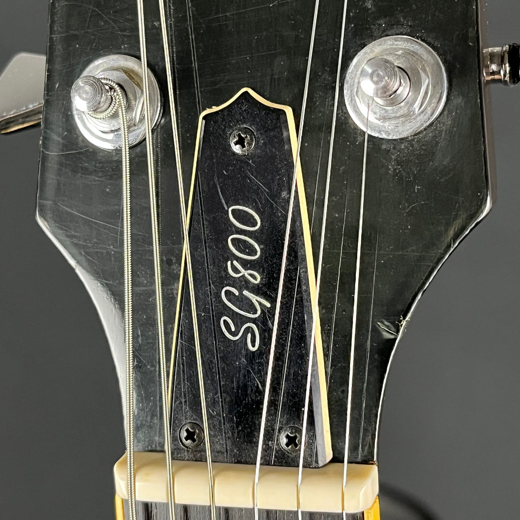 YAMAHA JAPAN SG800