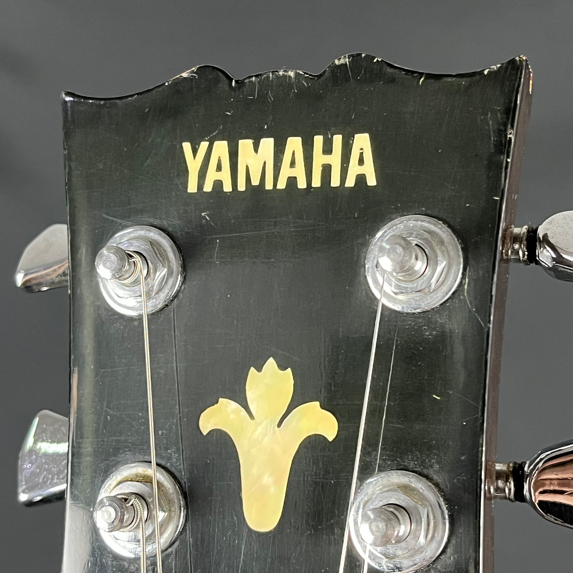 YAMAHA JAPAN SG800