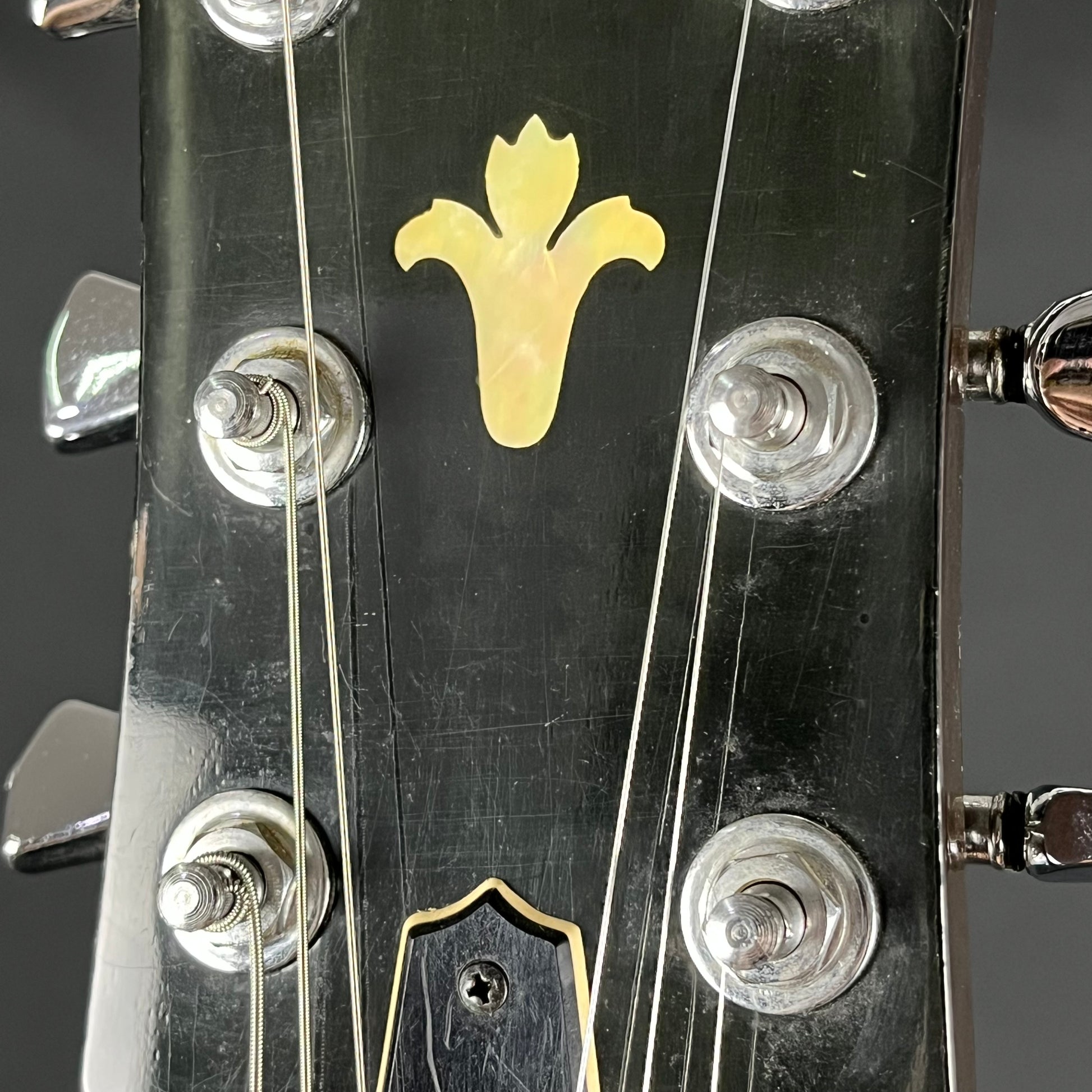YAMAHA JAPAN SG800