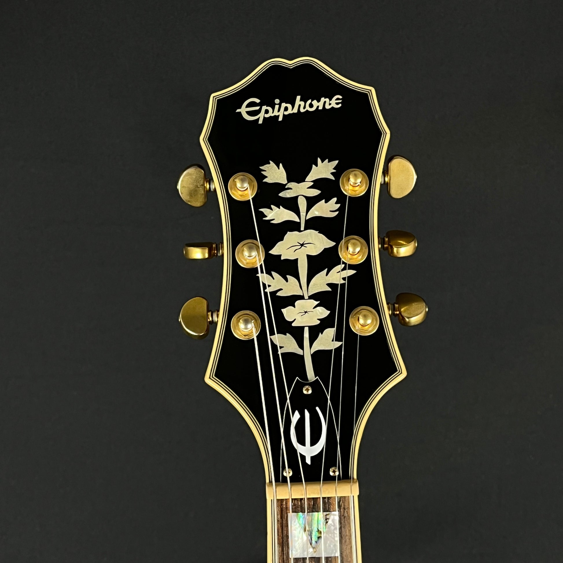 Epiphone SHERATON Pro II WR