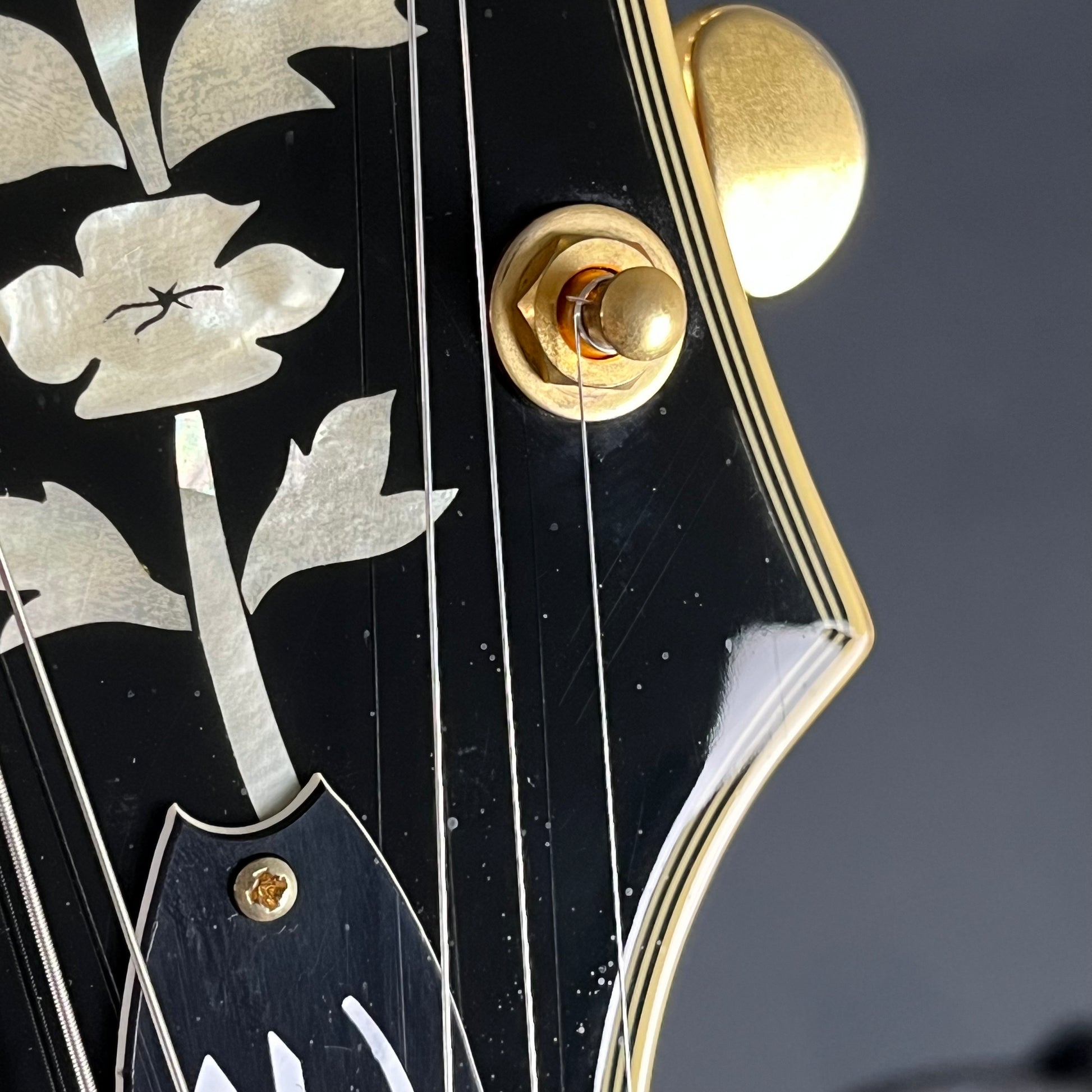 Epiphone SHERATON Pro II WR