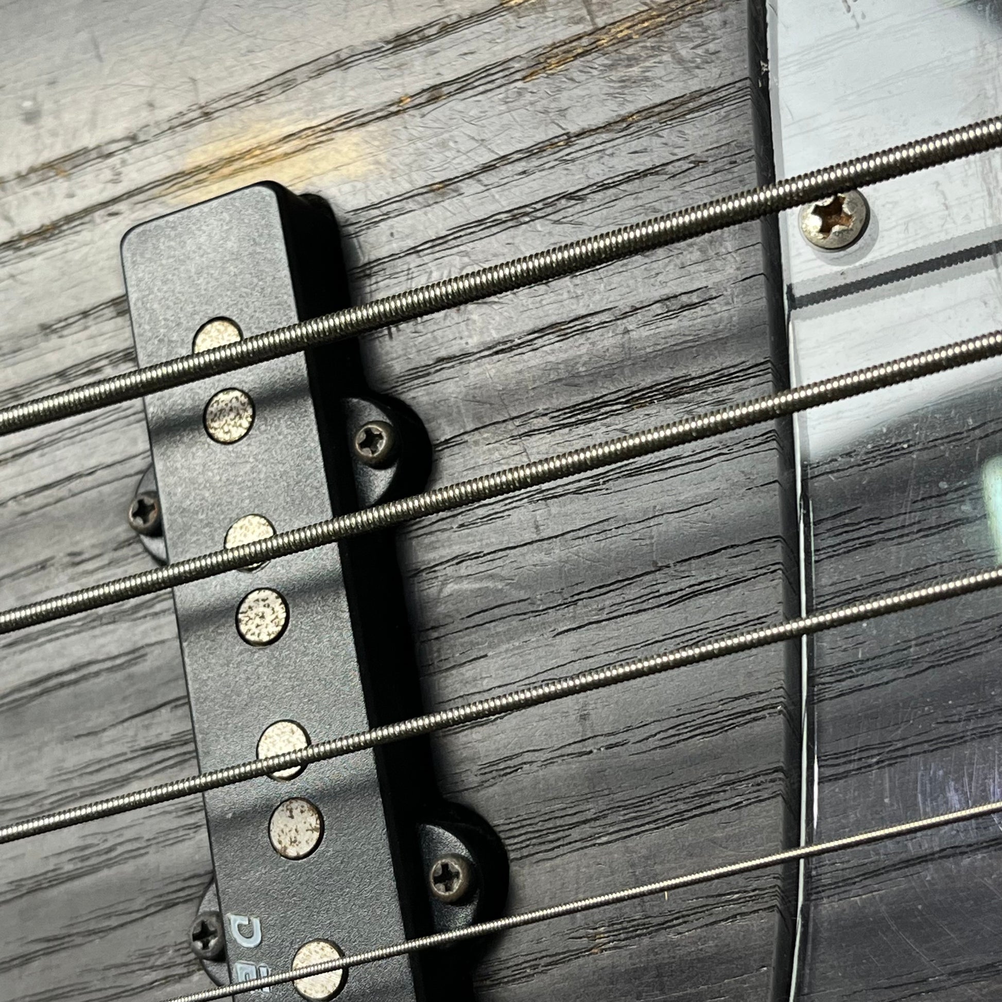 Bacchus Japan WOODLINE 4 Bass