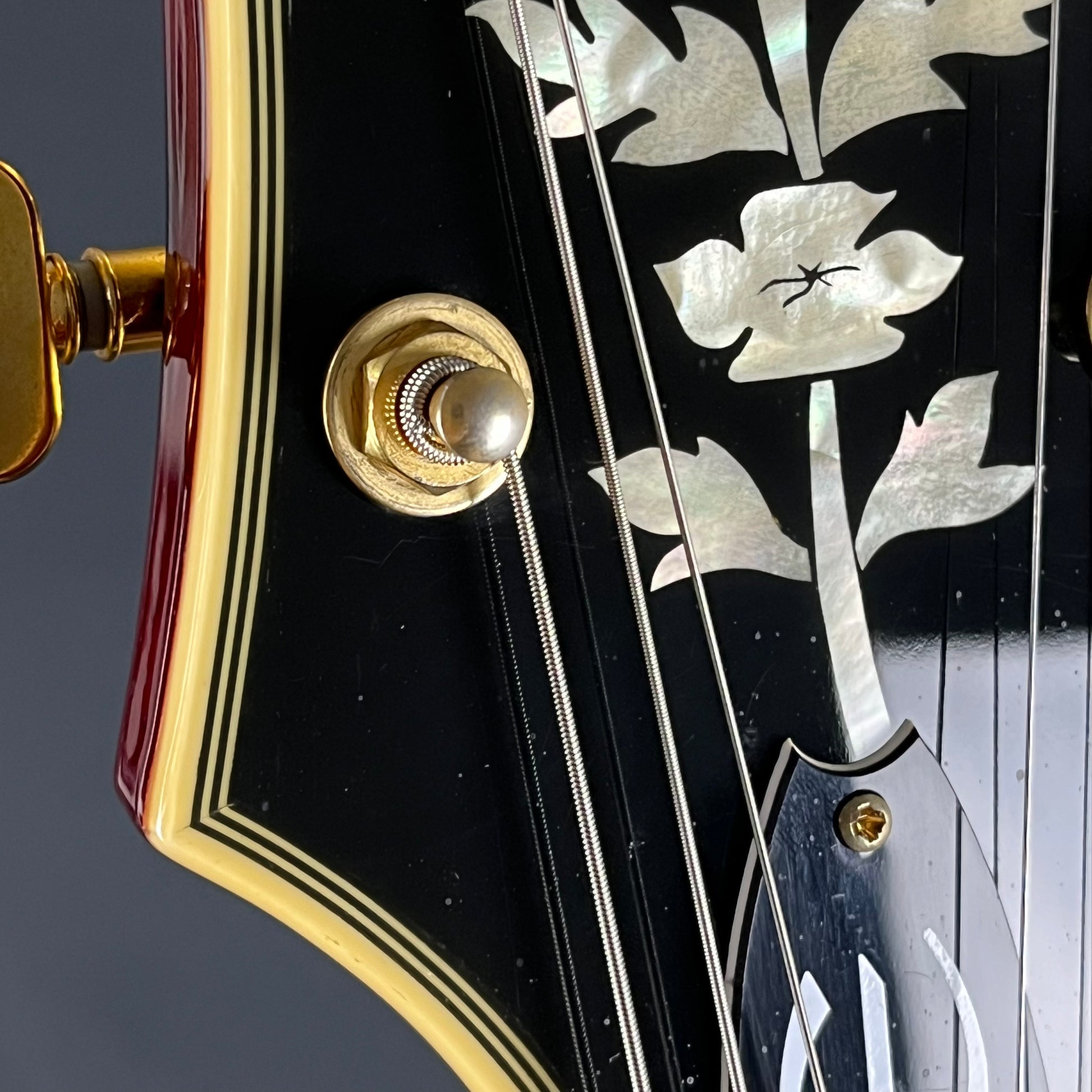 Epiphone SHERATON Pro II WR