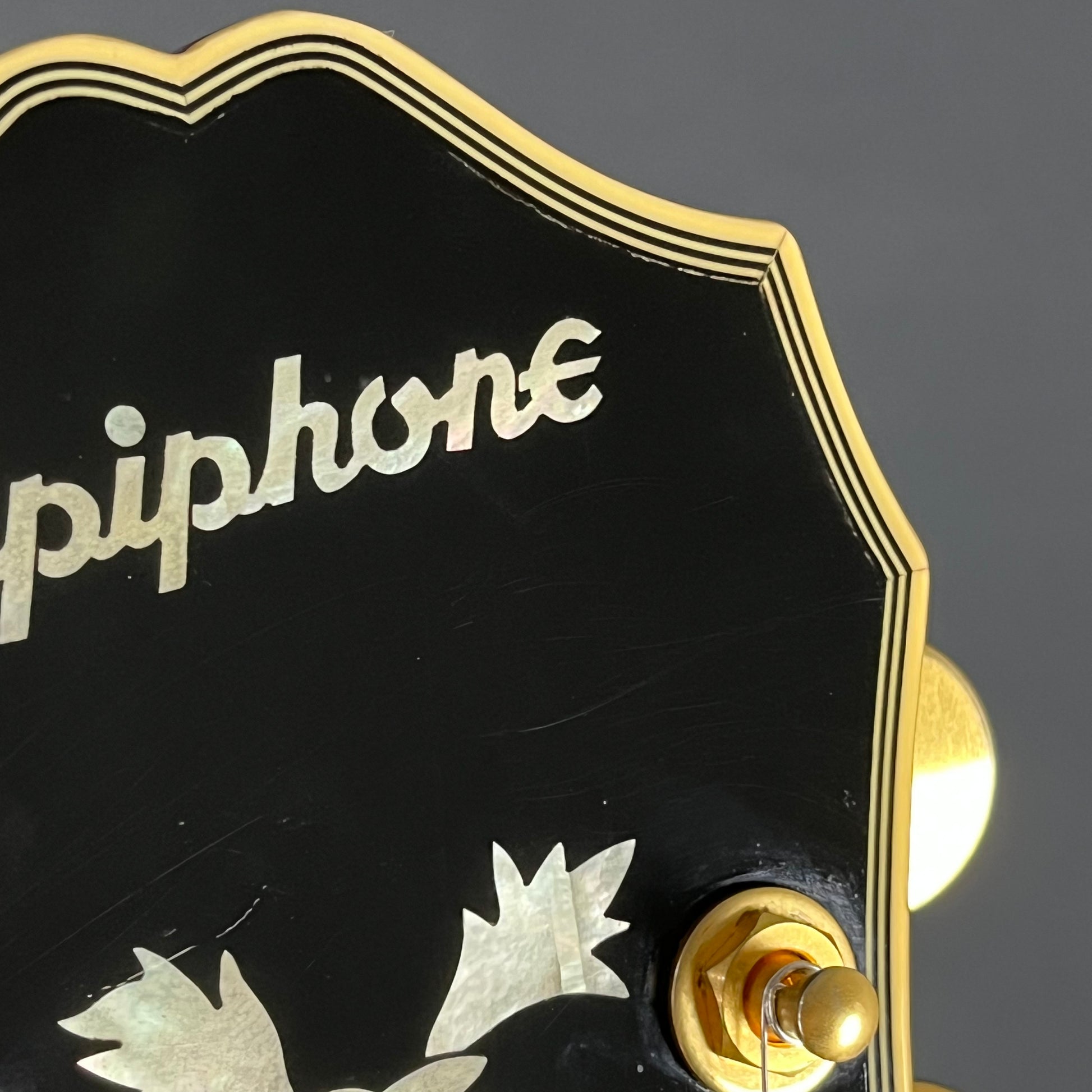 Epiphone SHERATON Pro II WR