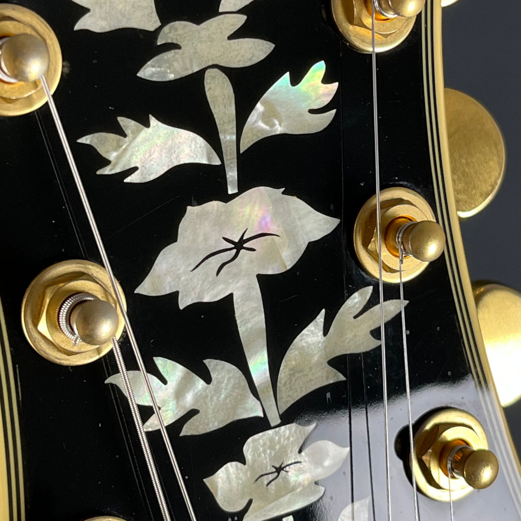 Epiphone SHERATON Pro II WR