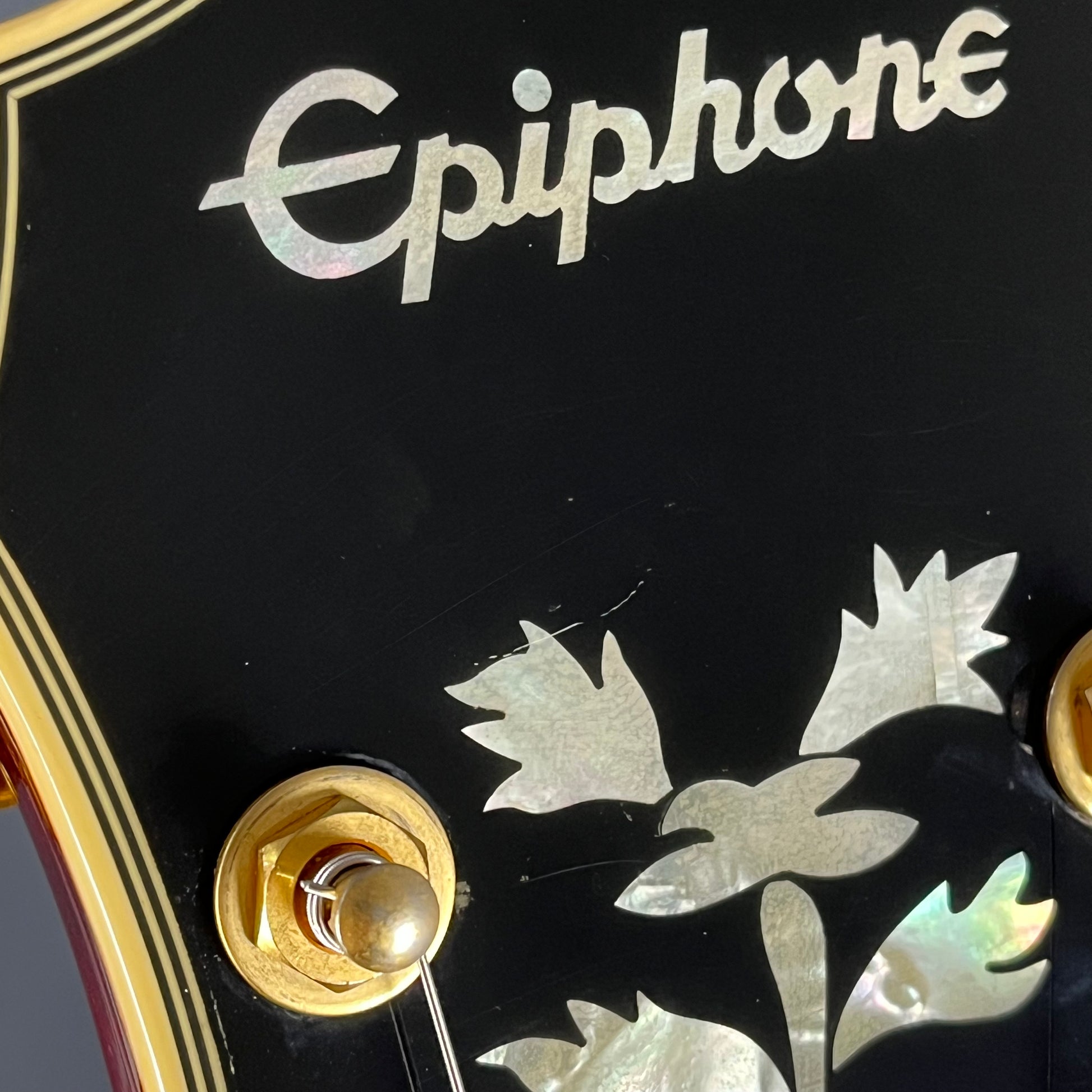 Epiphone SHERATON Pro II WR