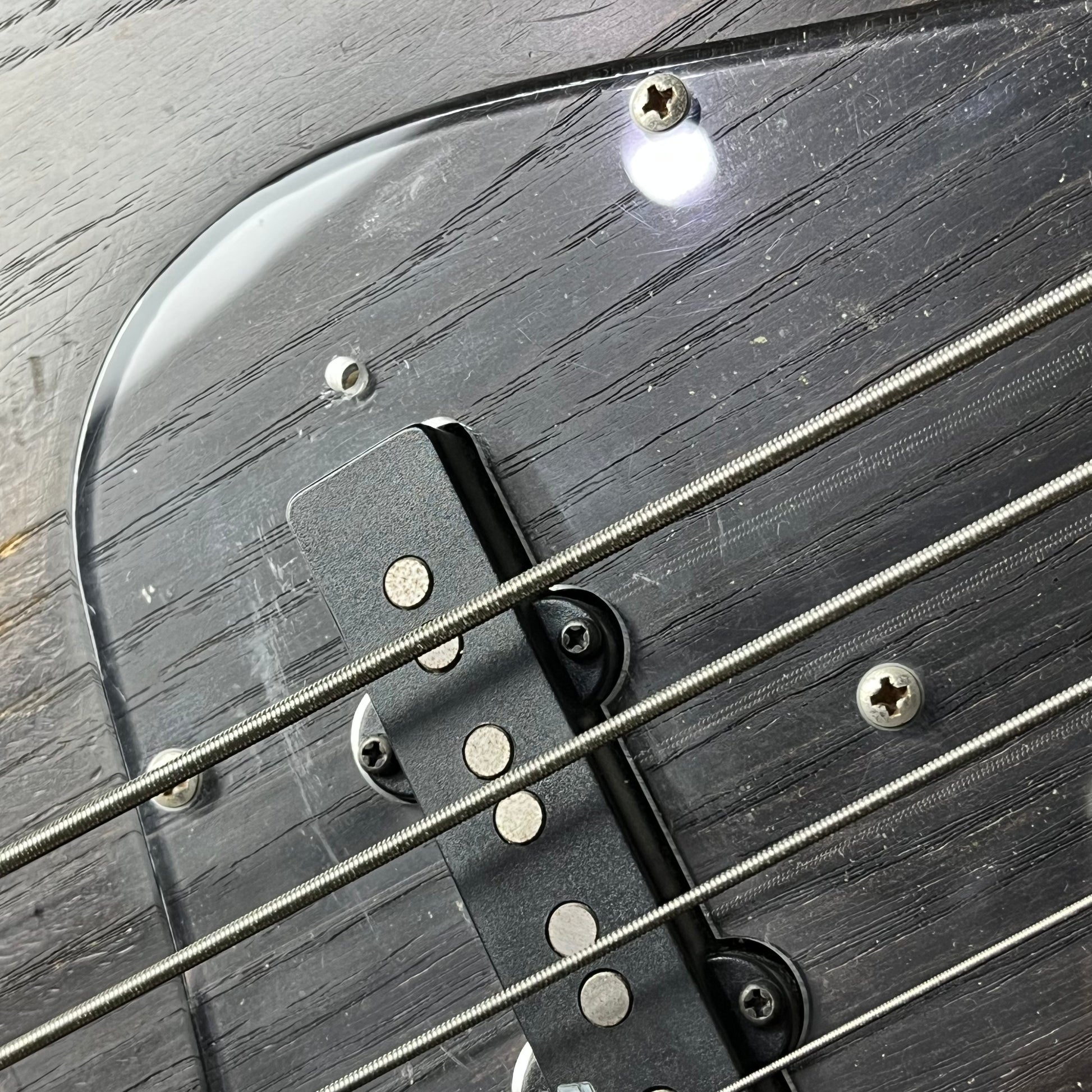 Bacchus Japan WOODLINE 4 Bass