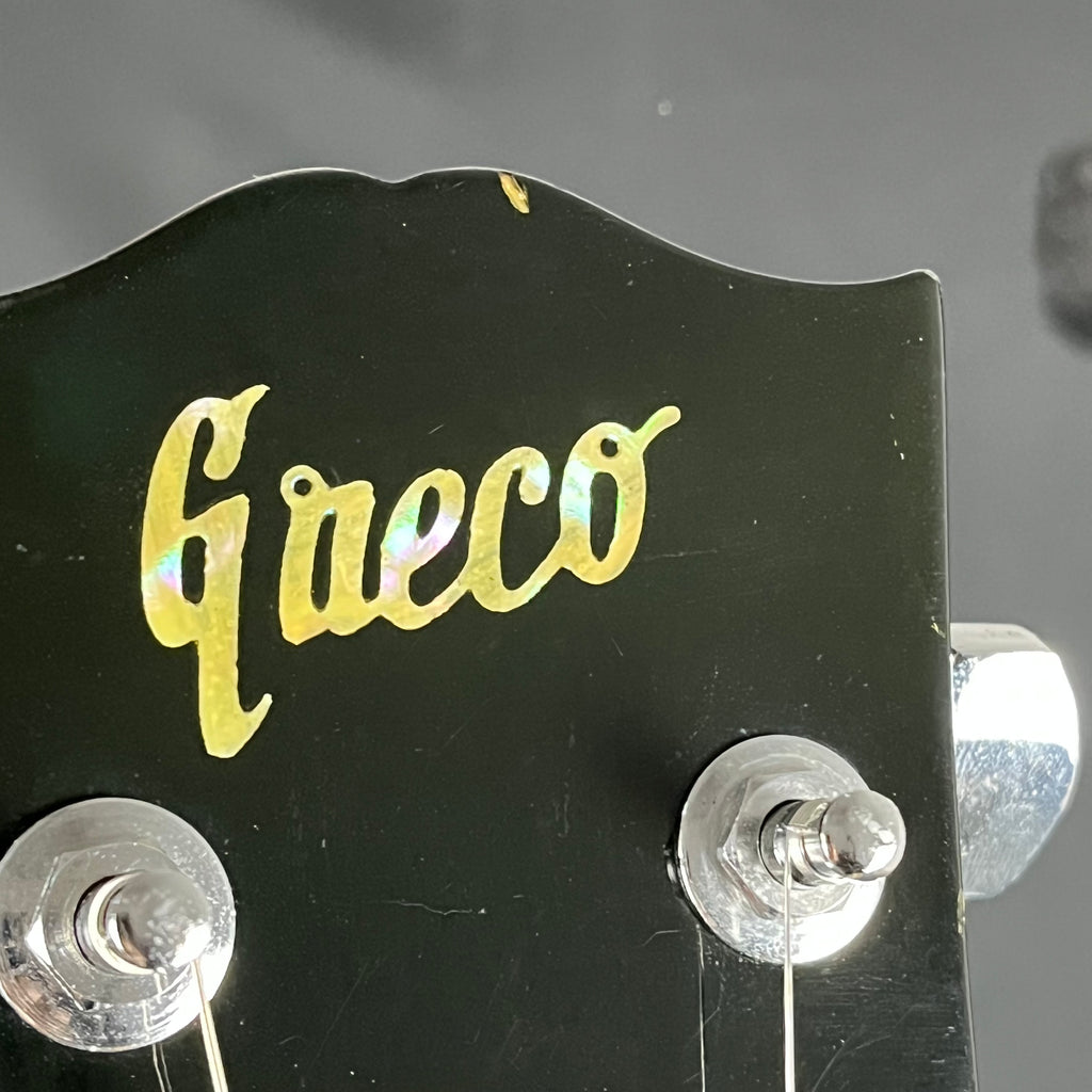 GRECO Japan EG-360 * Mod *