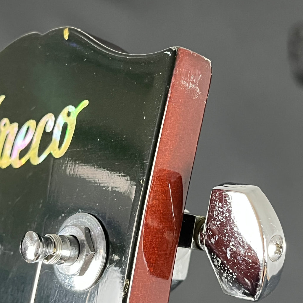 GRECO Japan EG-360 * Mod *