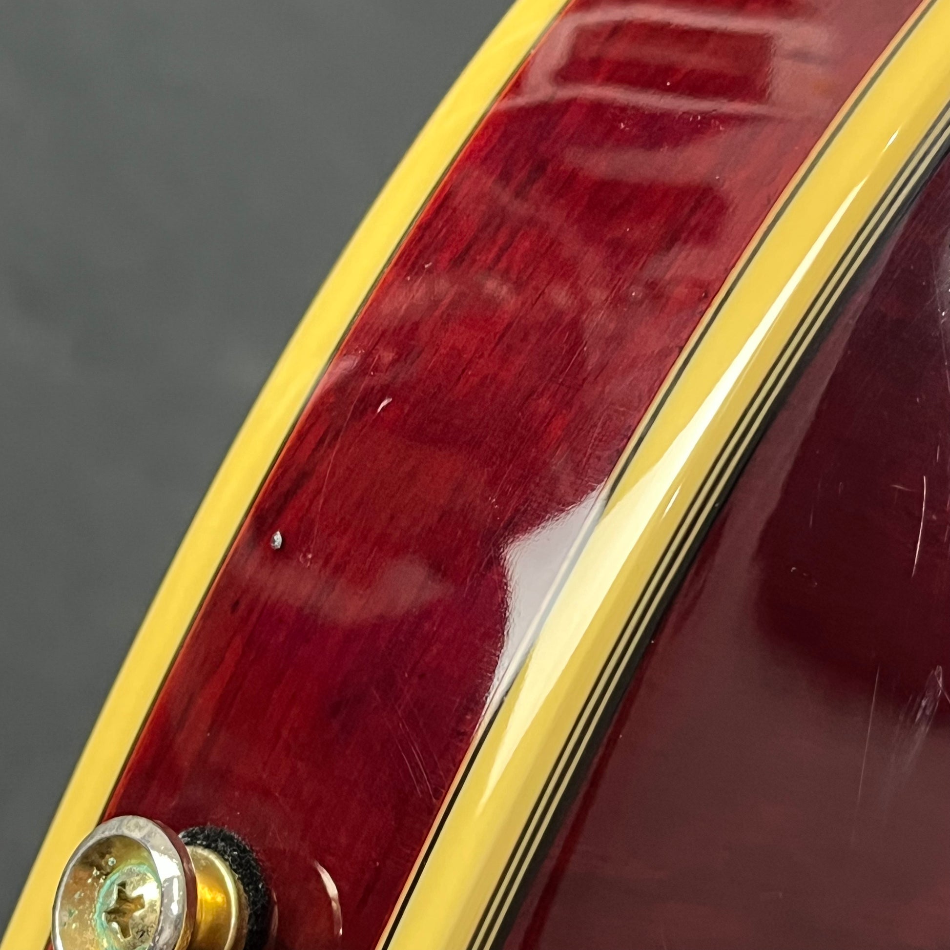 Epiphone SHERATON Pro II WR