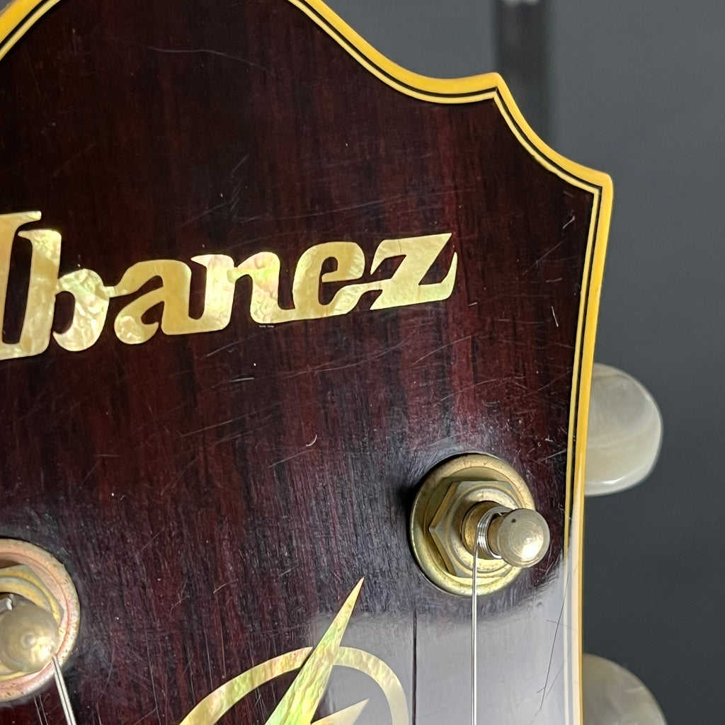 Ibanez AF105-NT