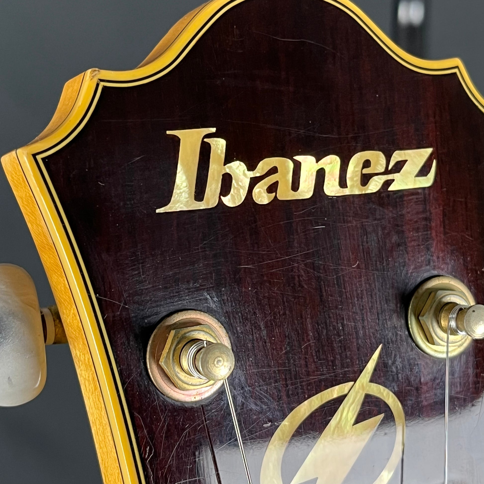 Ibanez AF105-NT