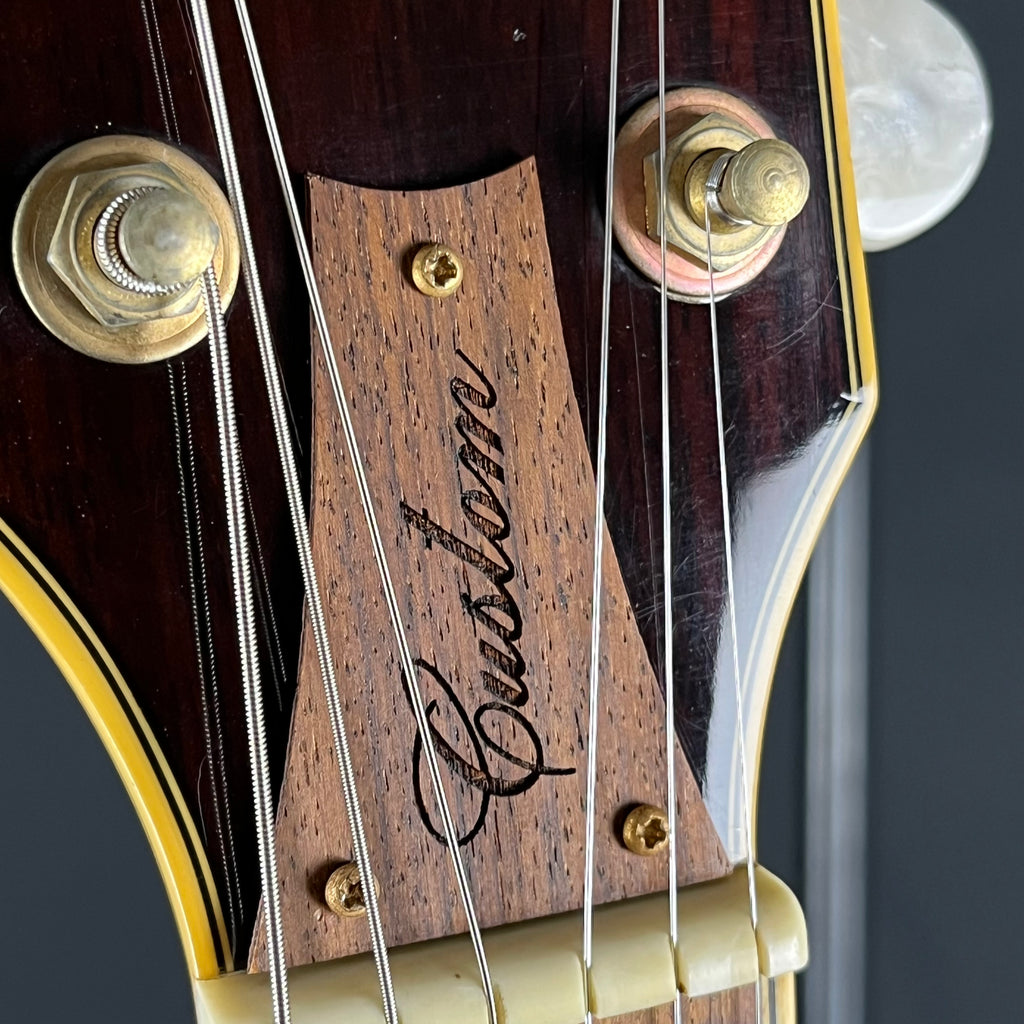 Ibanez AF105-NT