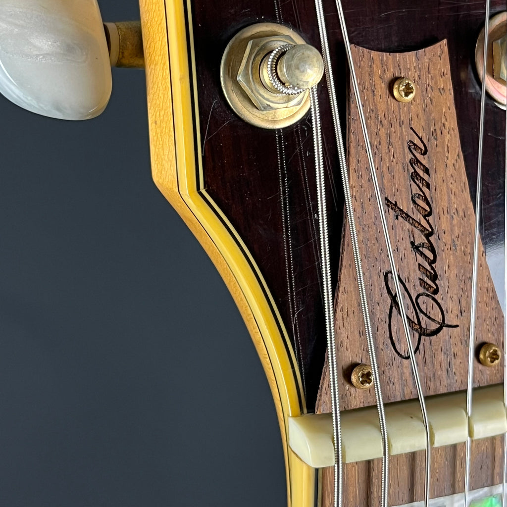Ibanez AF105-NT