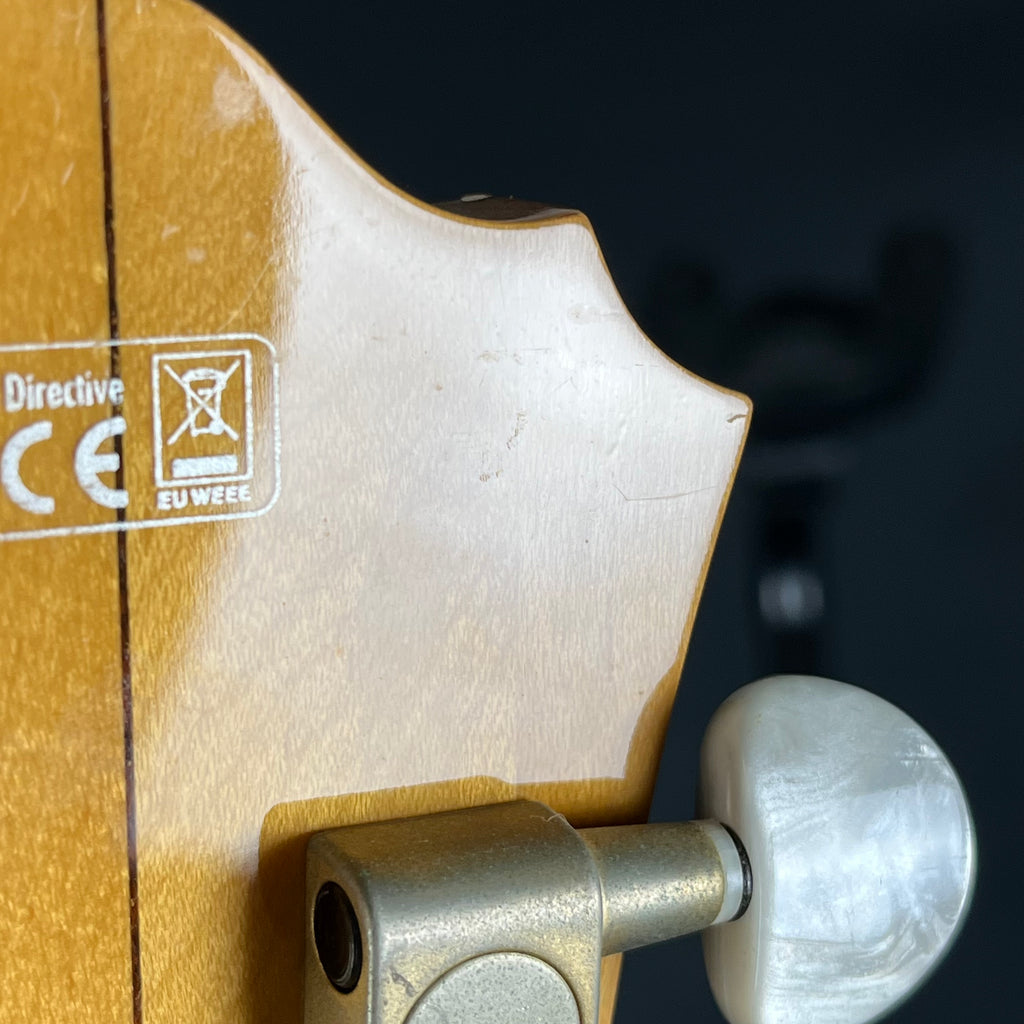 Ibanez AF105-NT