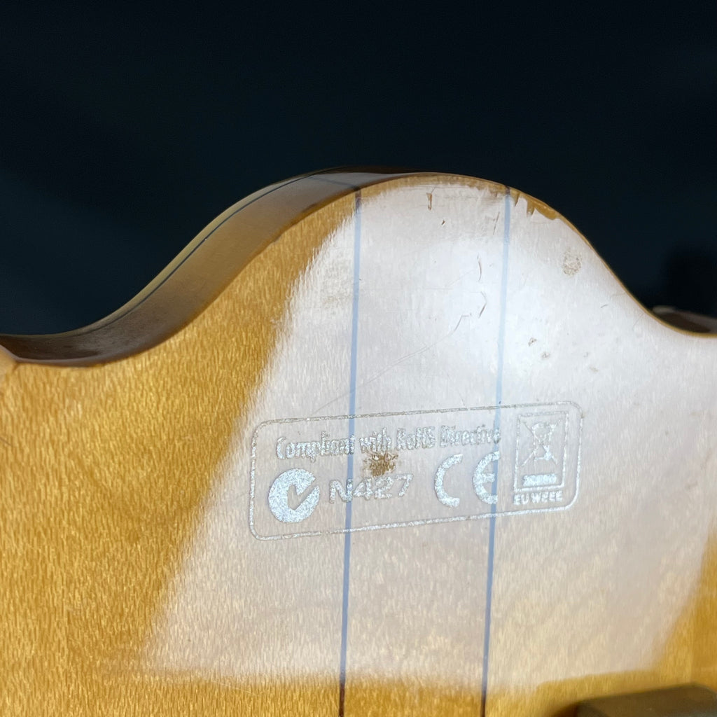 Ibanez AF105-NT