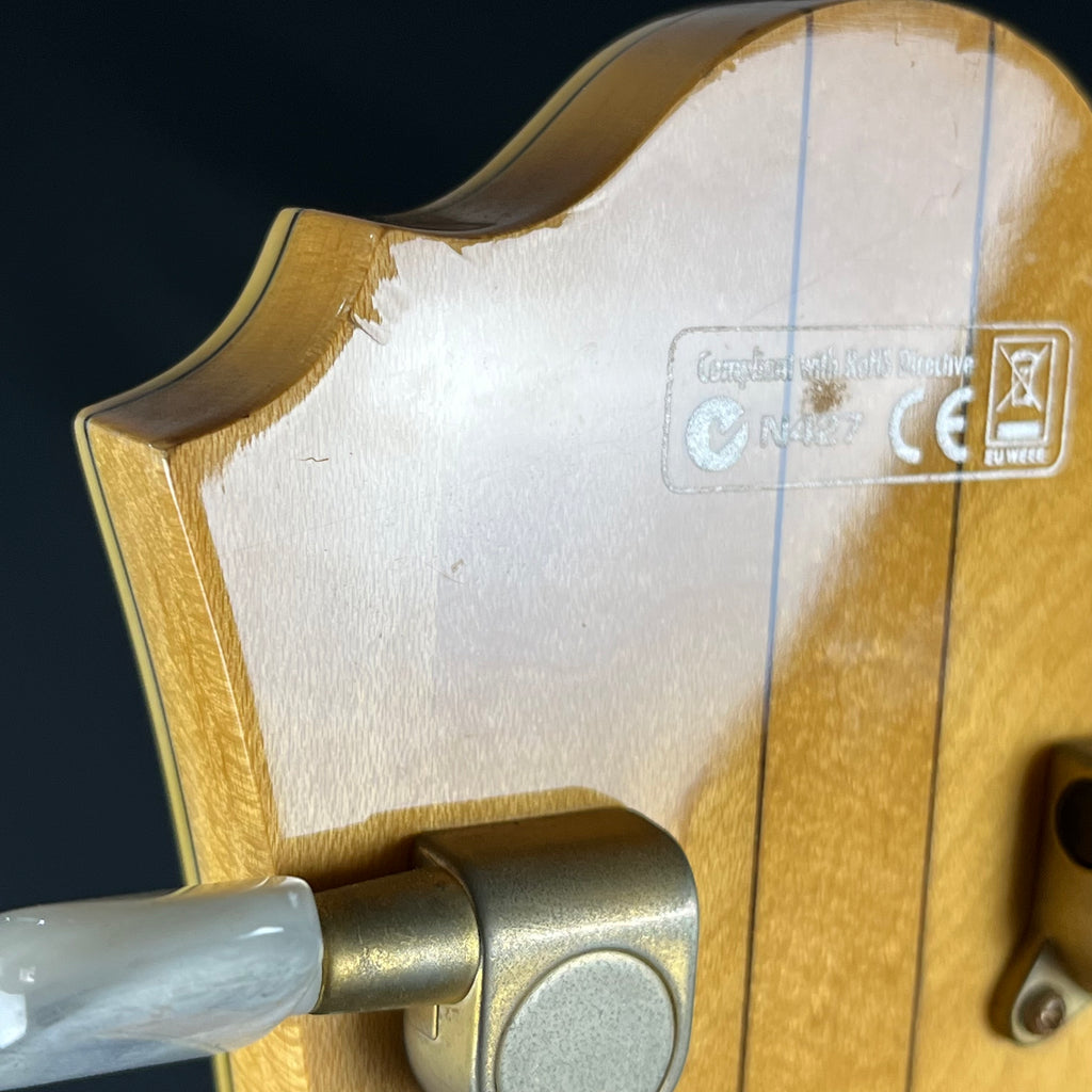 Ibanez AF105-NT