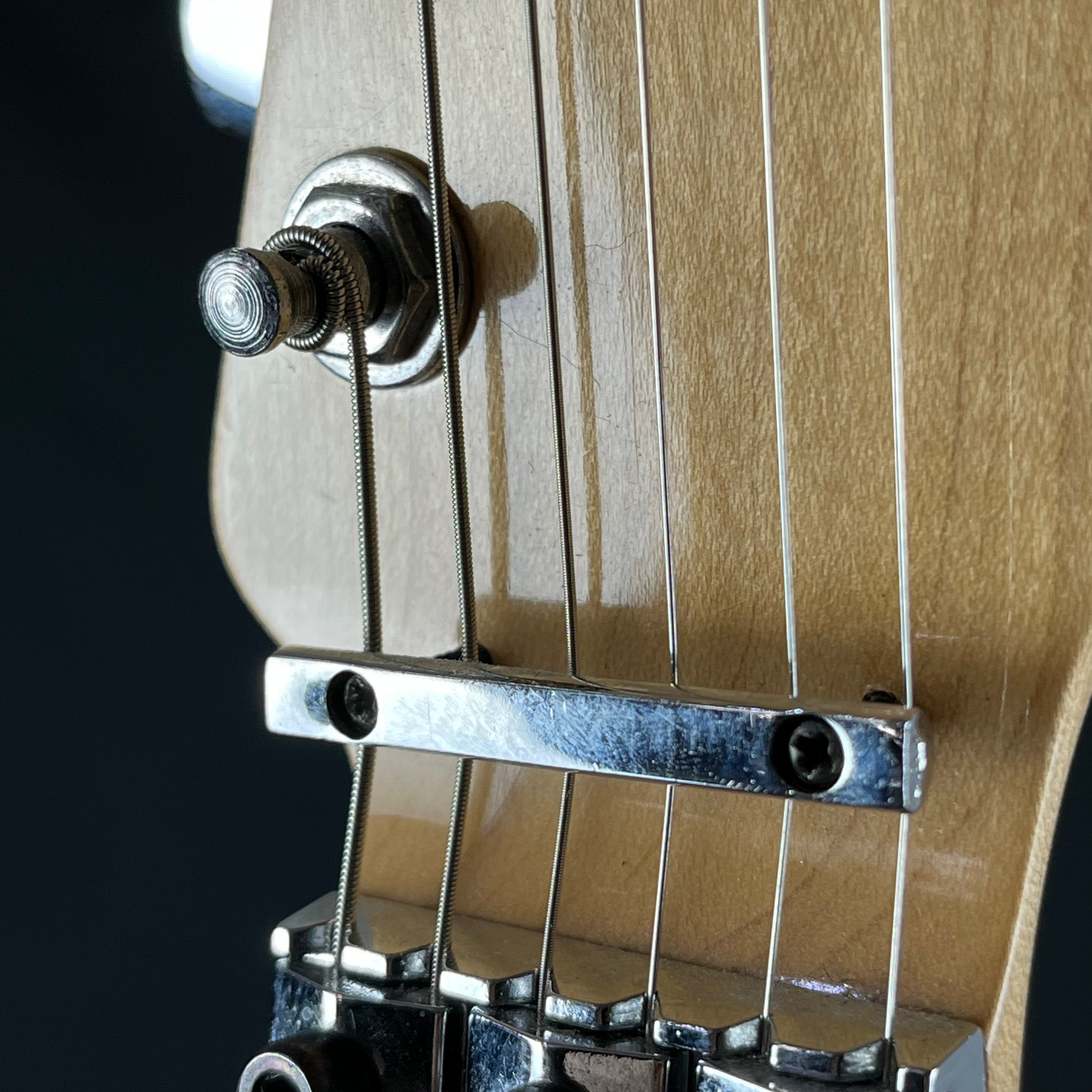 BACCHUS HST-24HSH/FRT ** PU MOD **